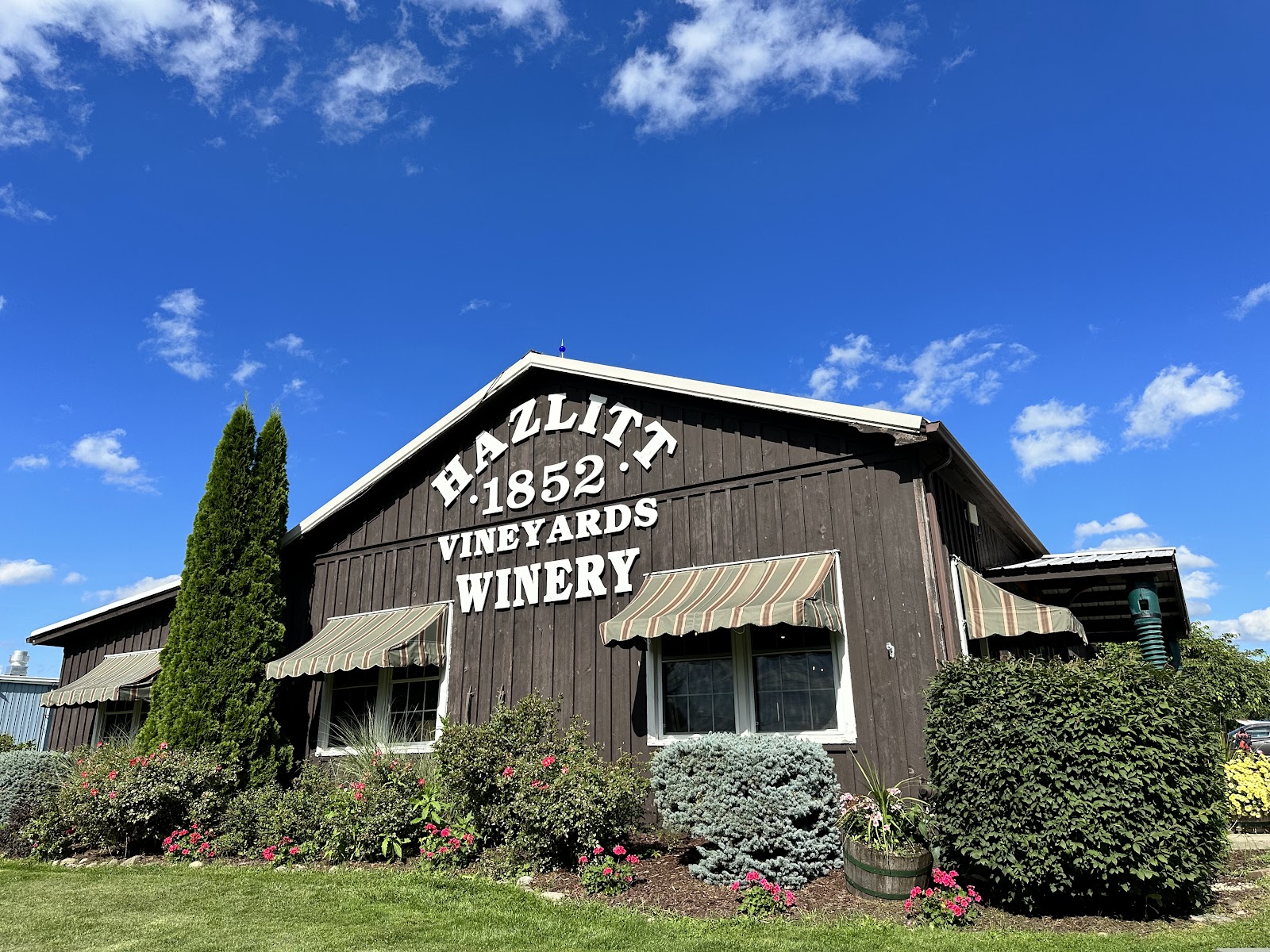 Hazlitt 1852 Vineyards photo 1