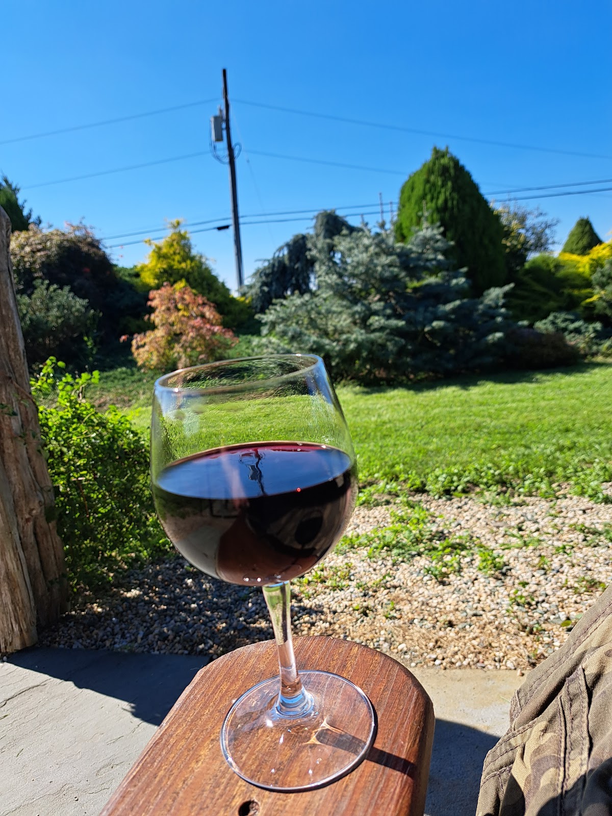 Shalestone Vineyards photo 4