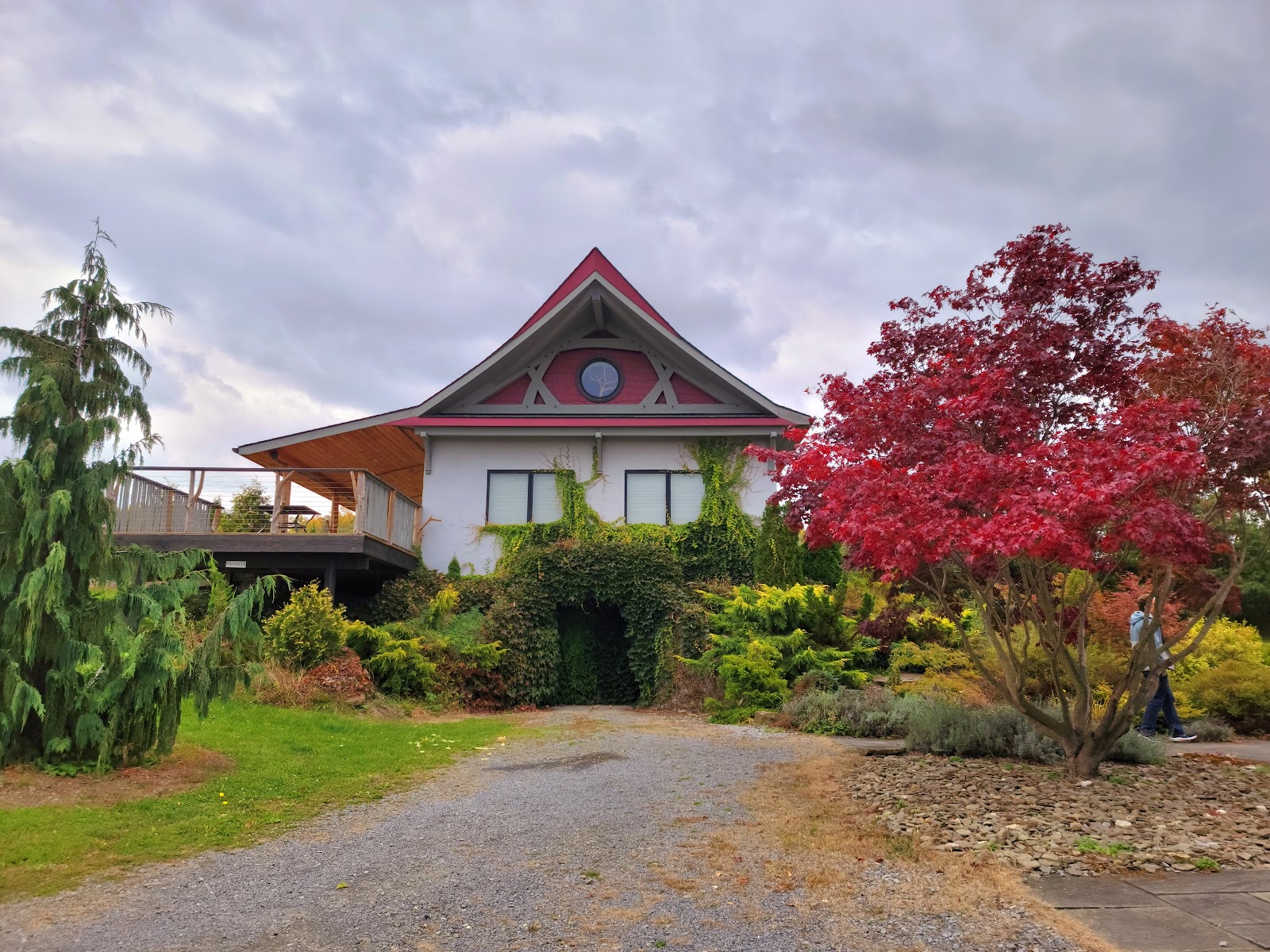 Shalestone Vineyards photo 5