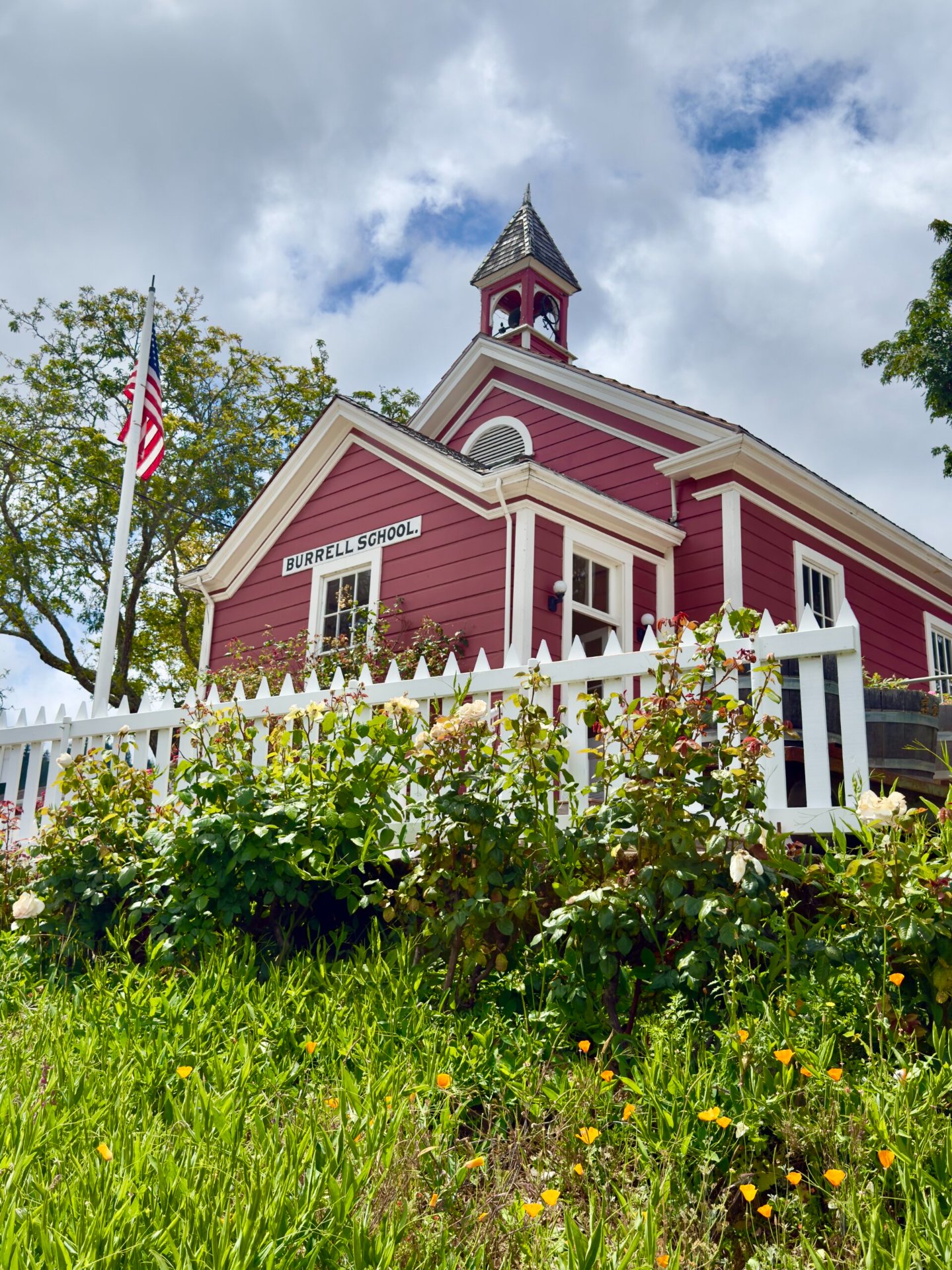 Burrell School Vineyards and Winery photo 1