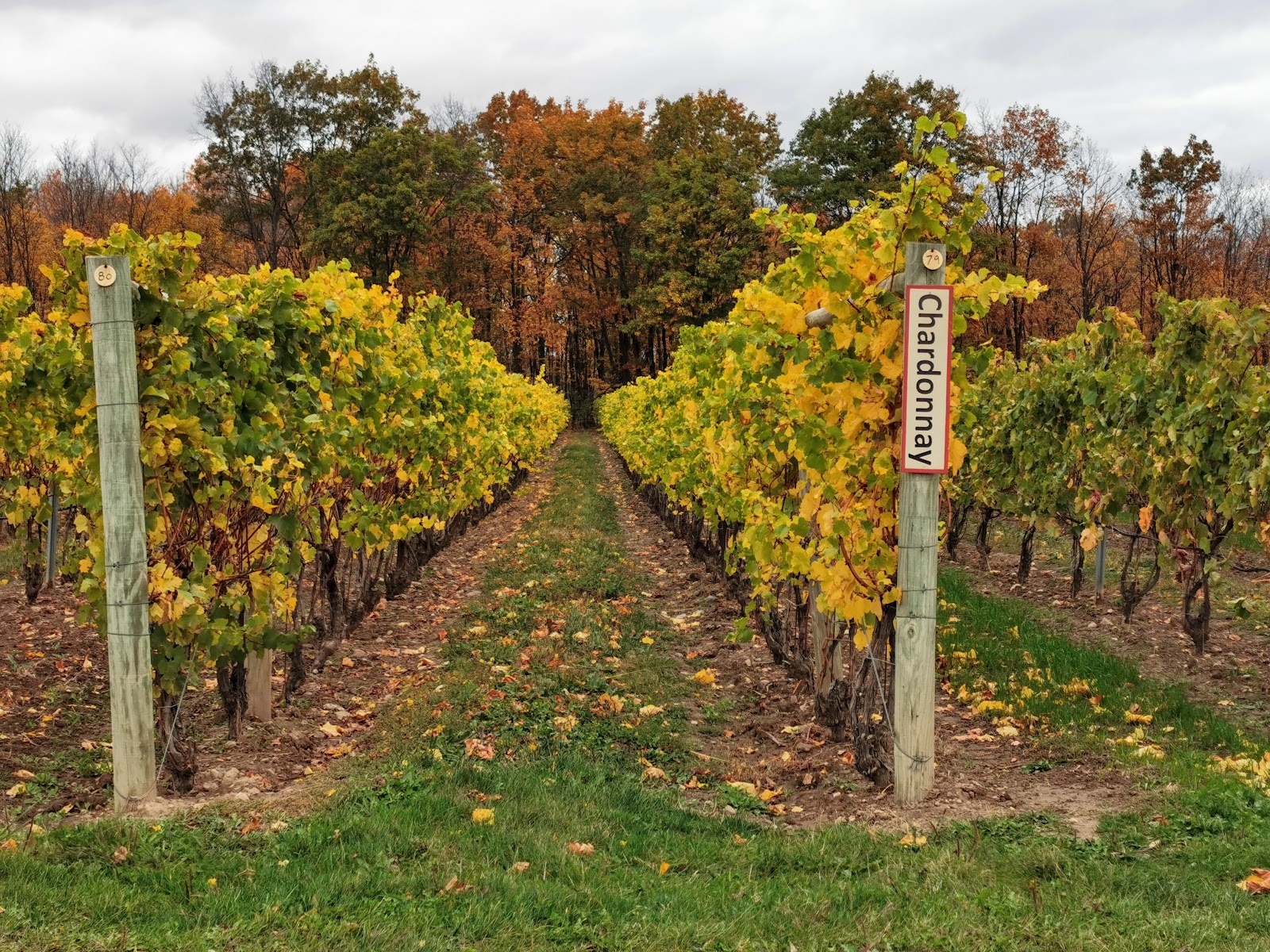 Red Tail Ridge Winery photo 6