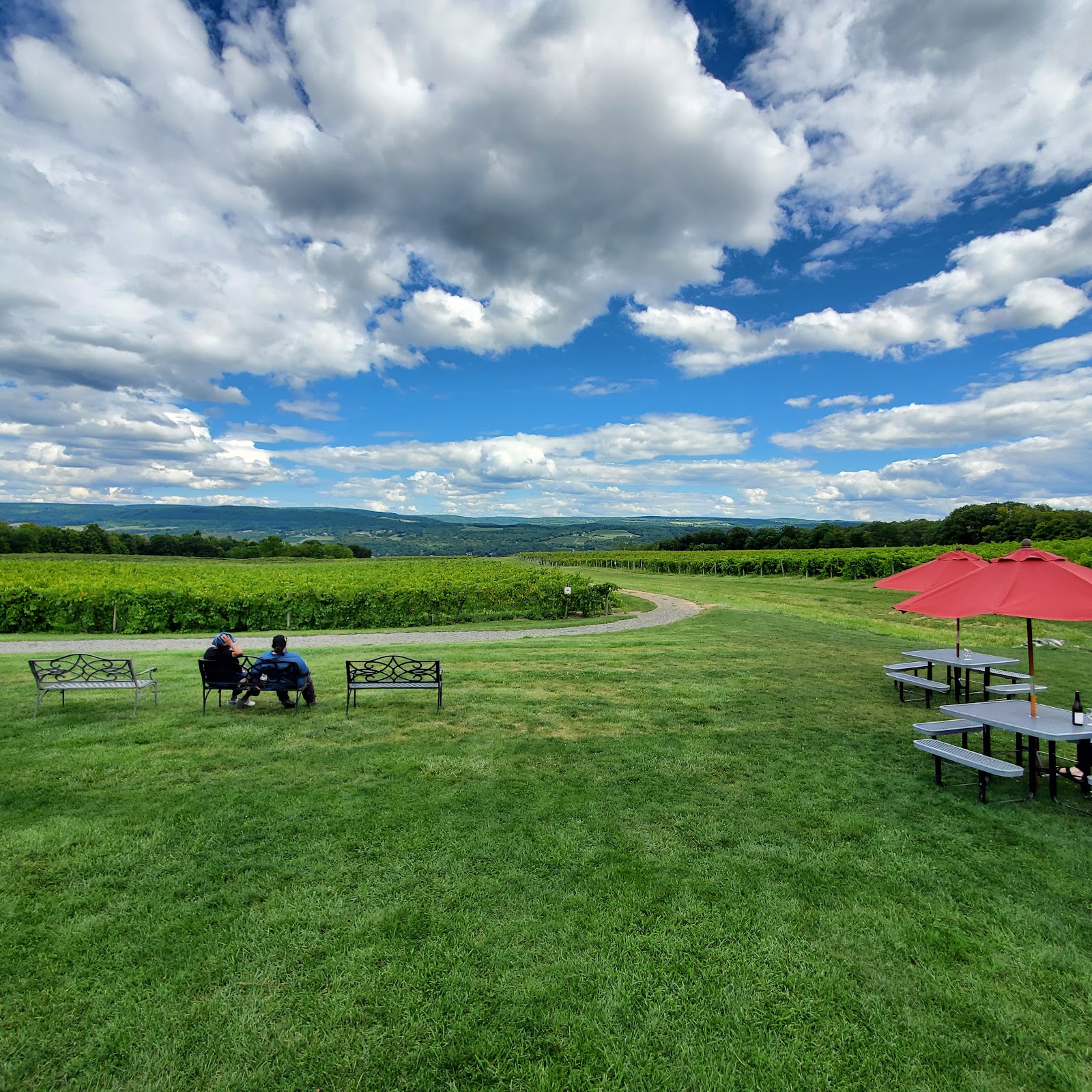 Lakewood Vineyards photo 4