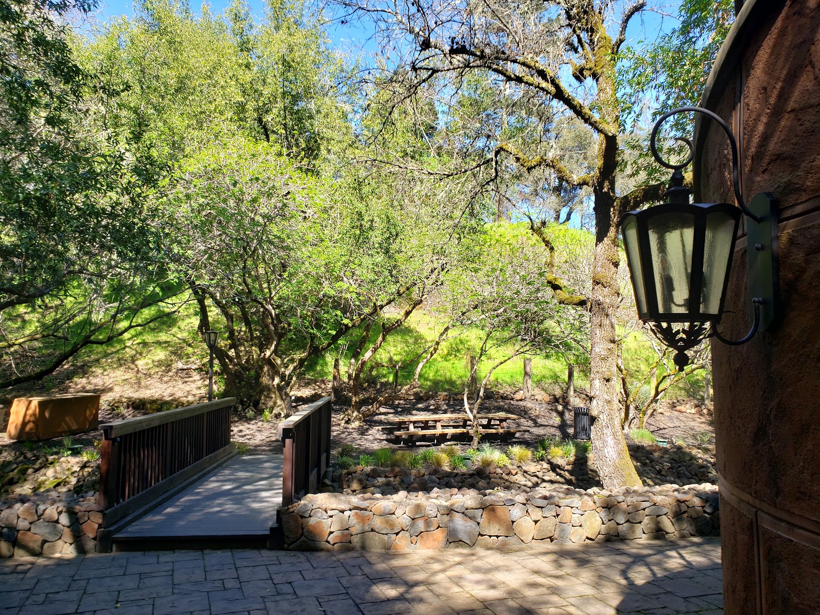 Simoncini Vineyards photo 4