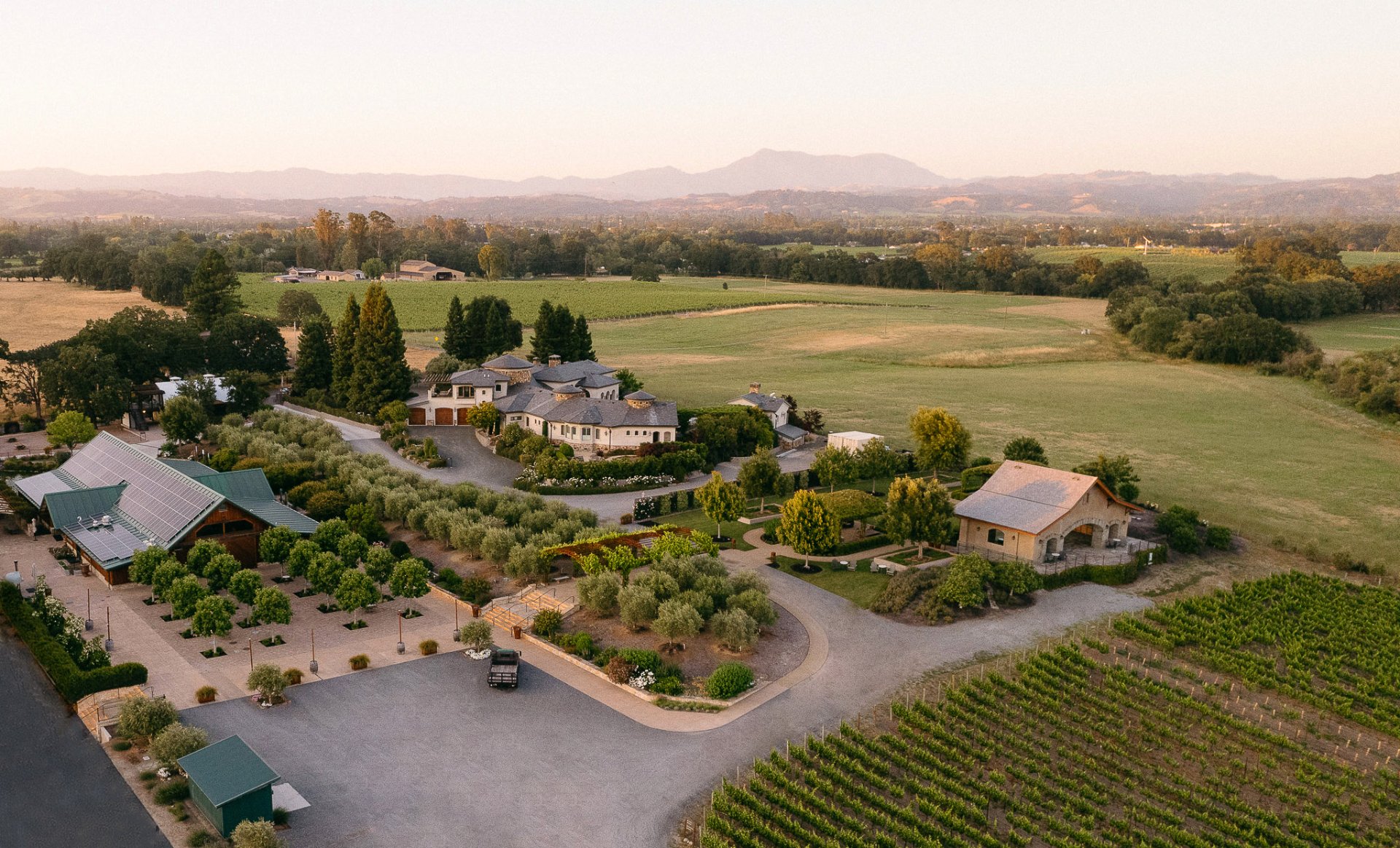 Bricoleur Vineyards photo 1