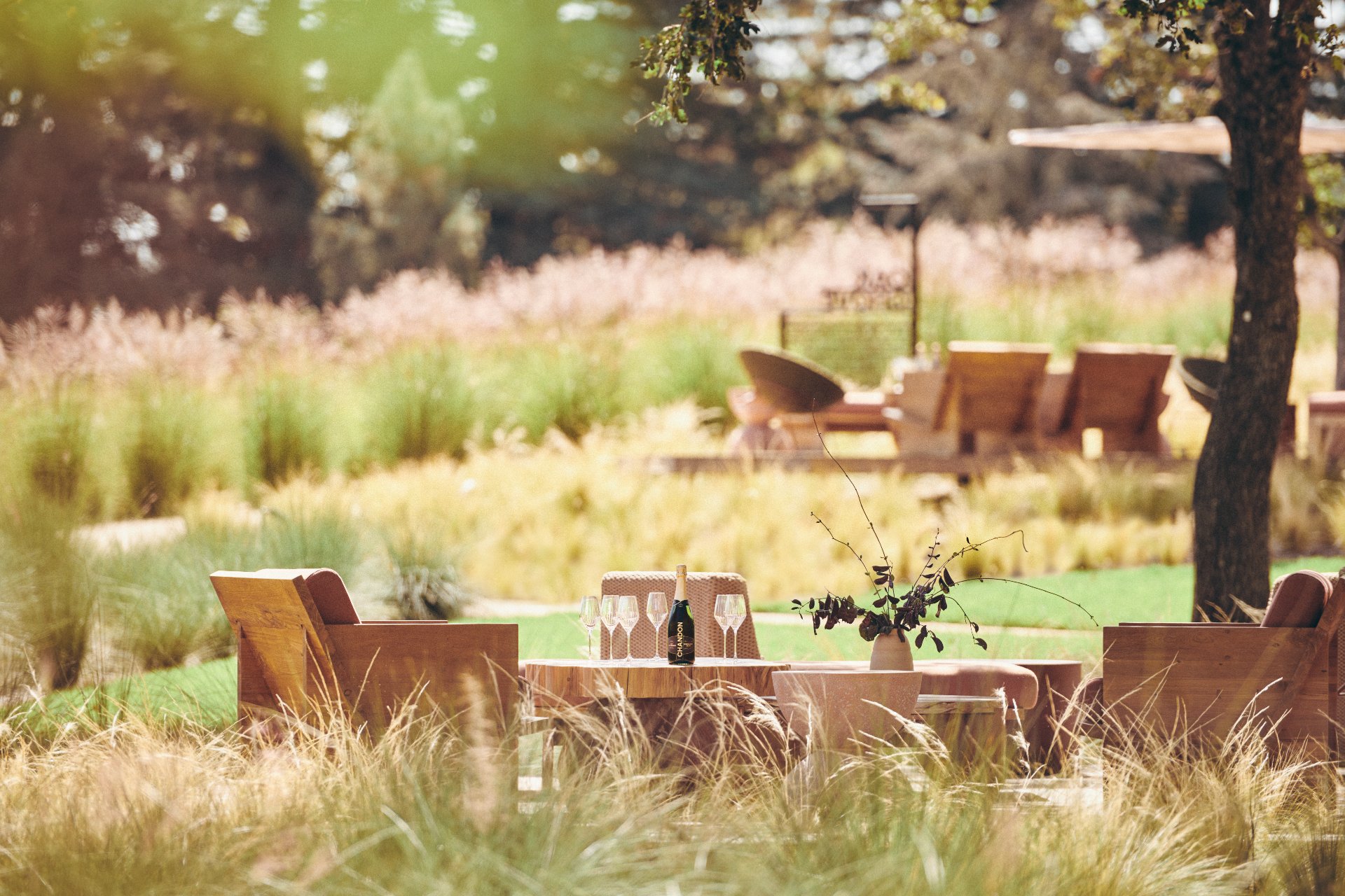 Chandon photo 5