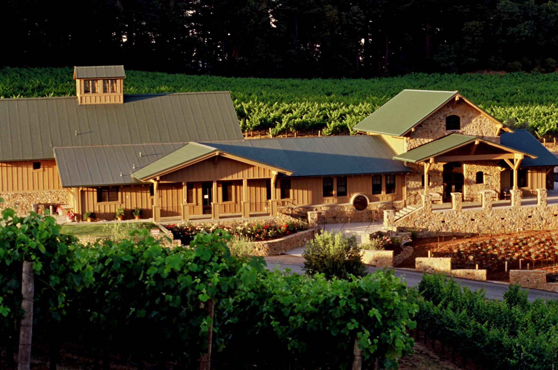 Pride Mountain Vineyards photo 1