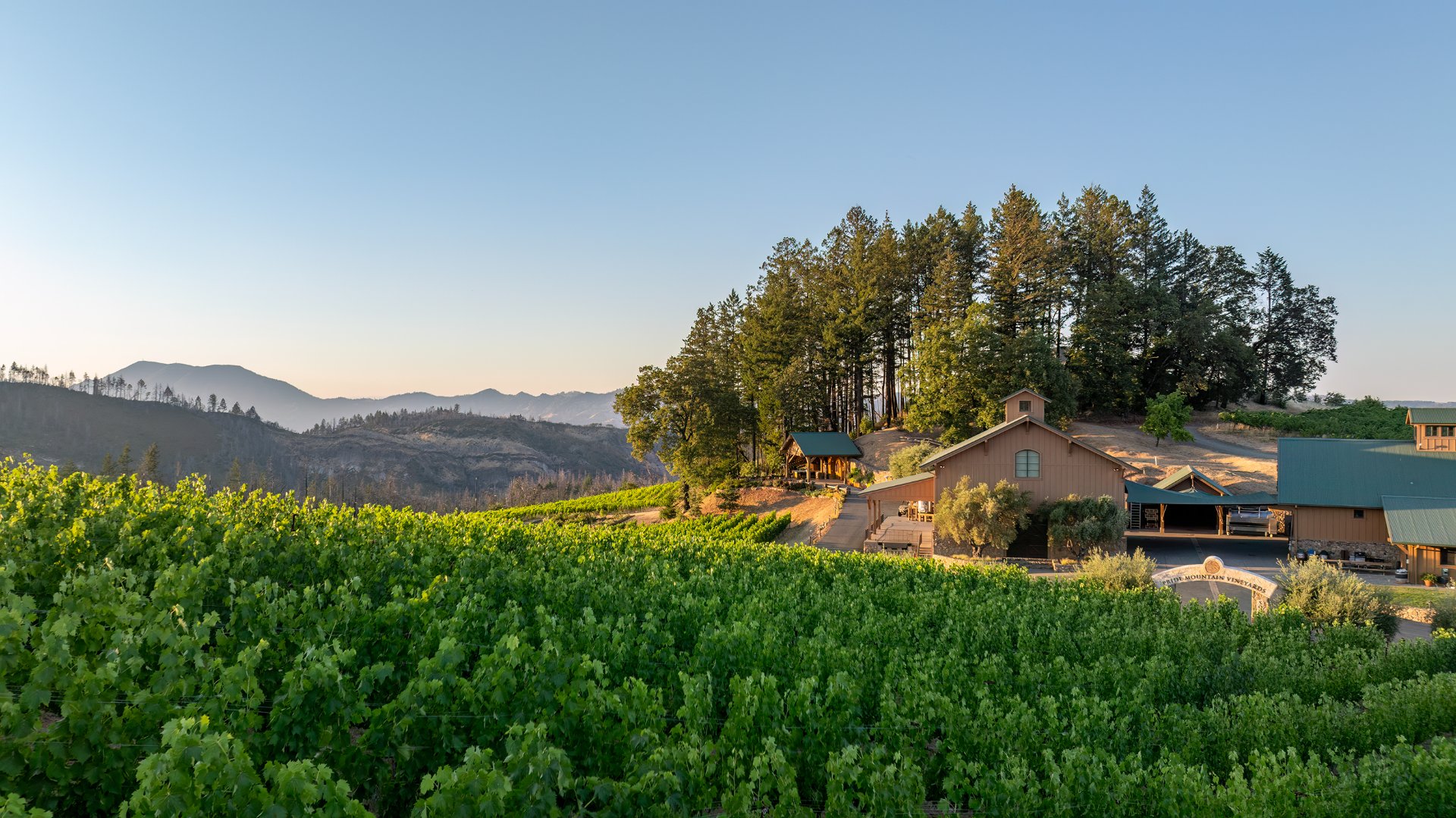 Pride Mountain Vineyards photo 6