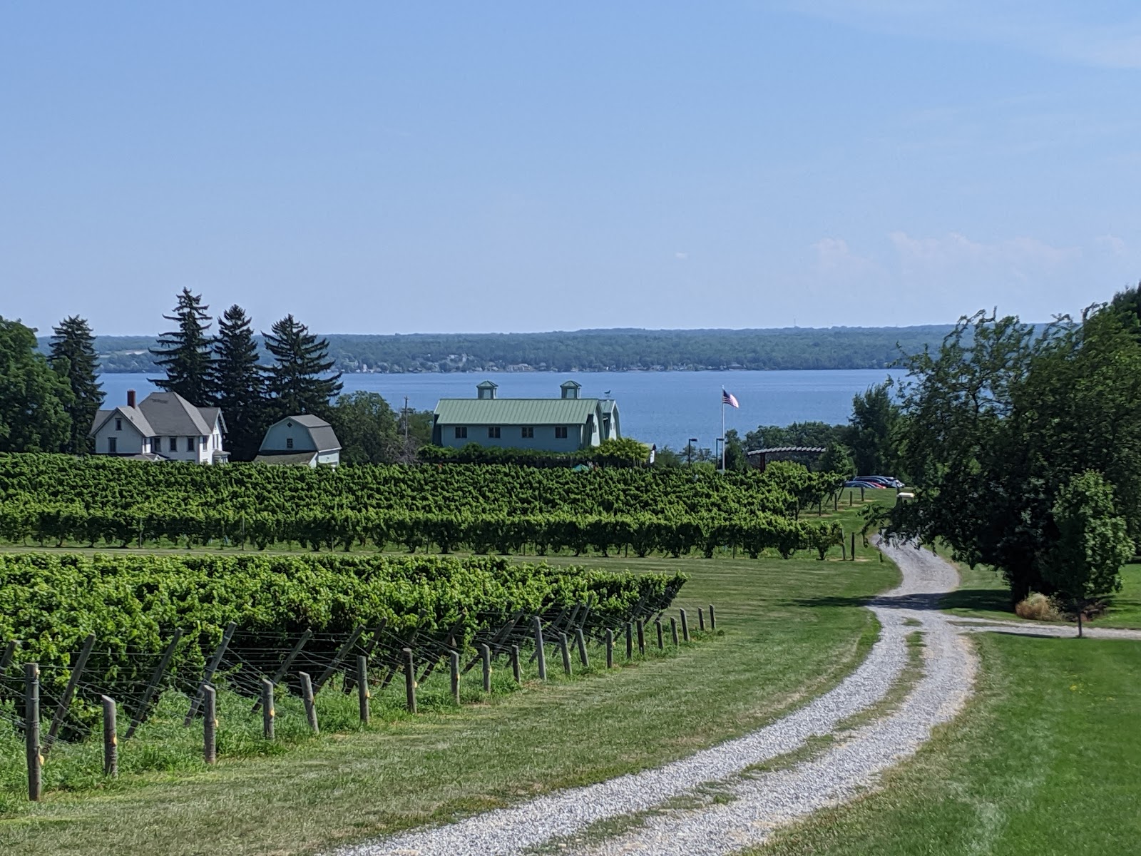 Fox Run Vineyards photo 1
