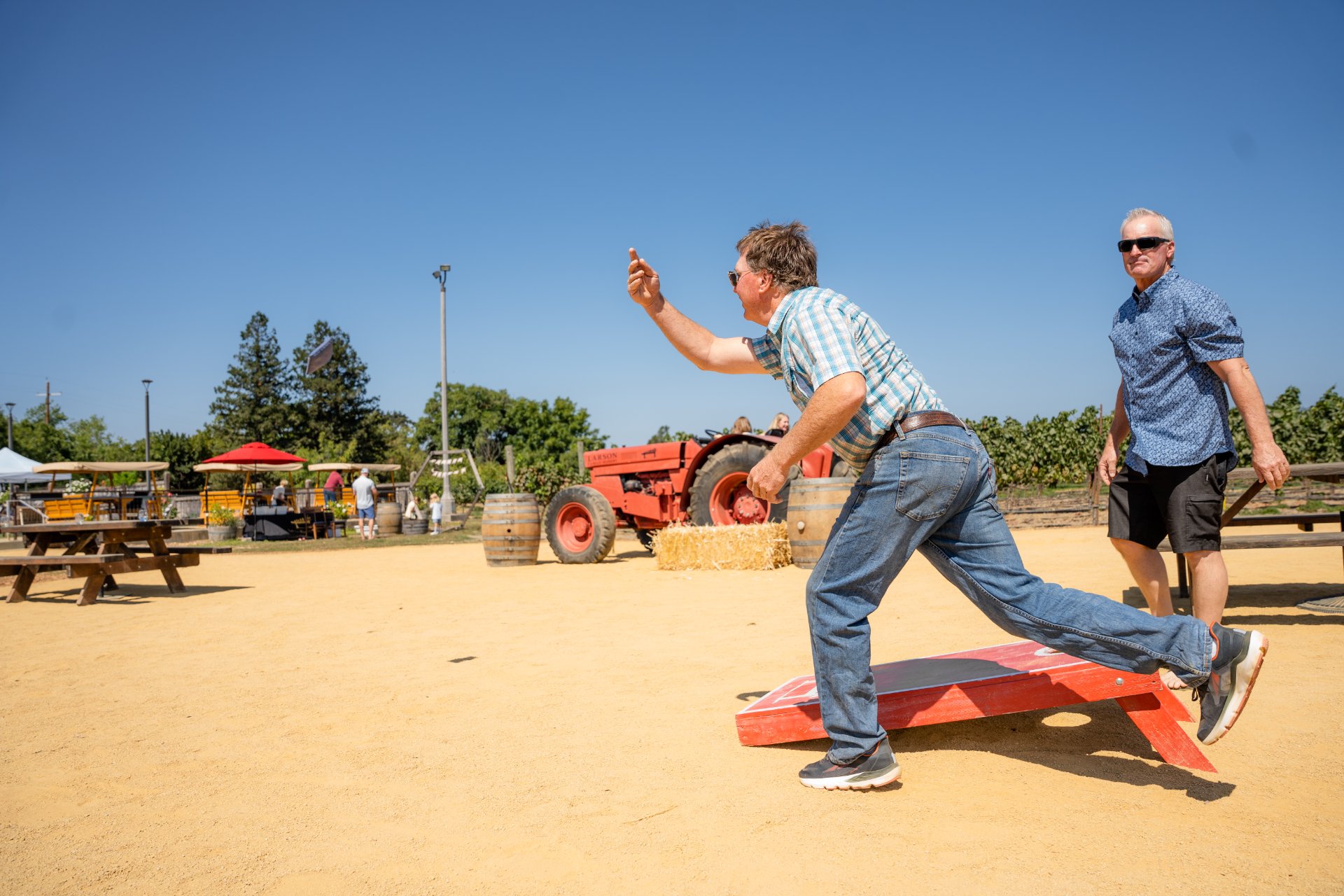 Larson Family Winery photo 4