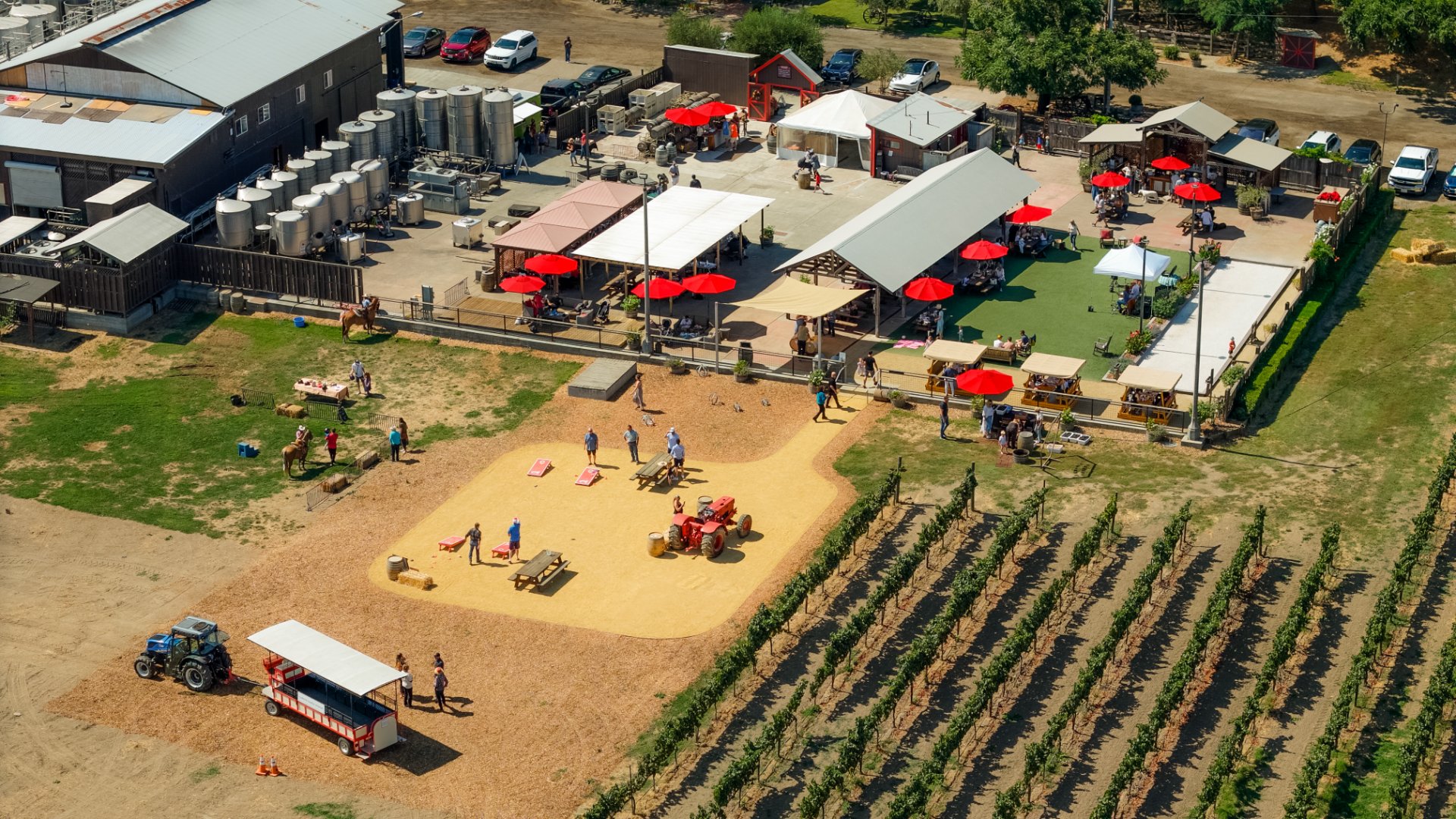 Larson Family Winery photo 9