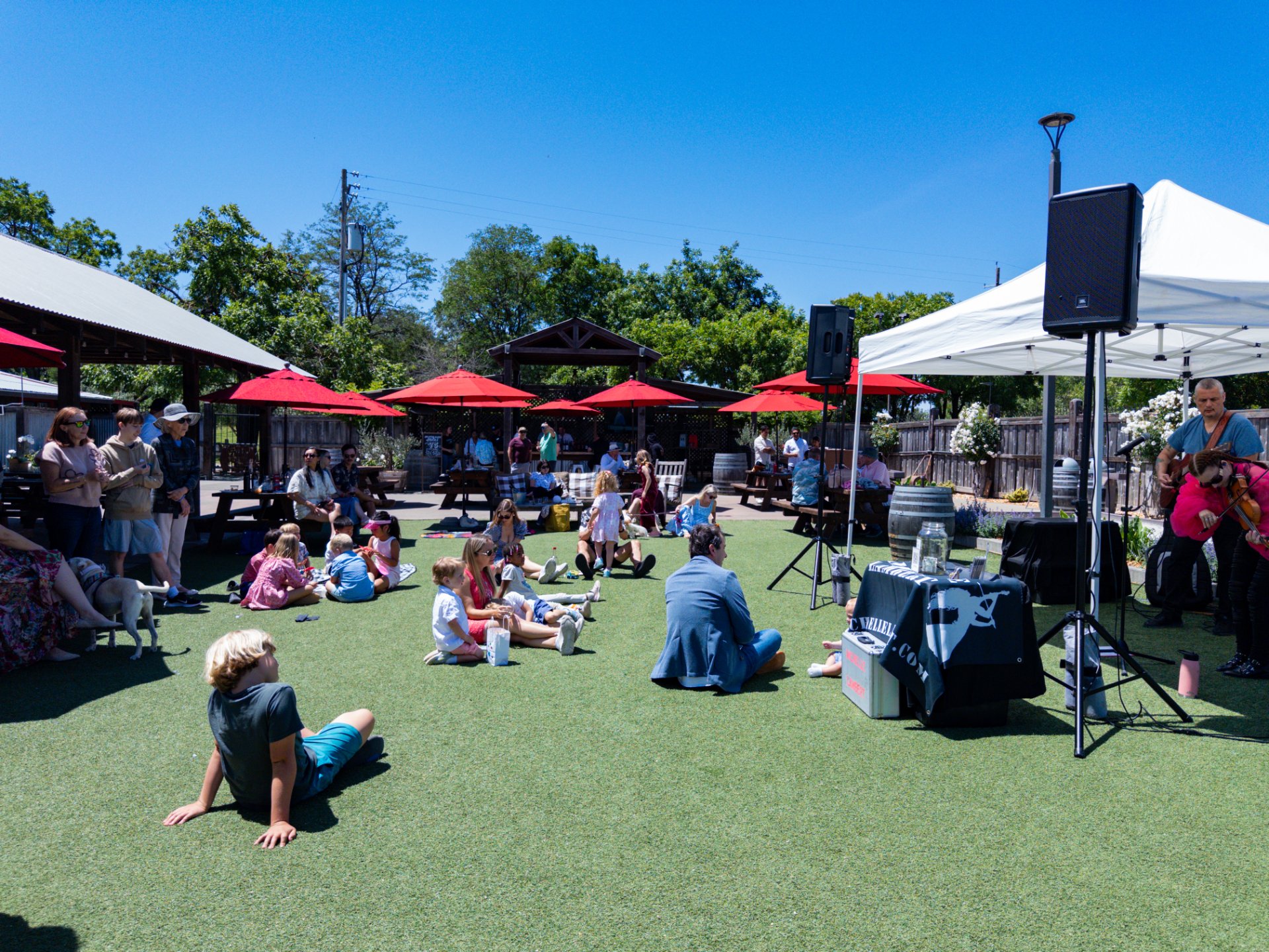 Larson Family Winery photo 10