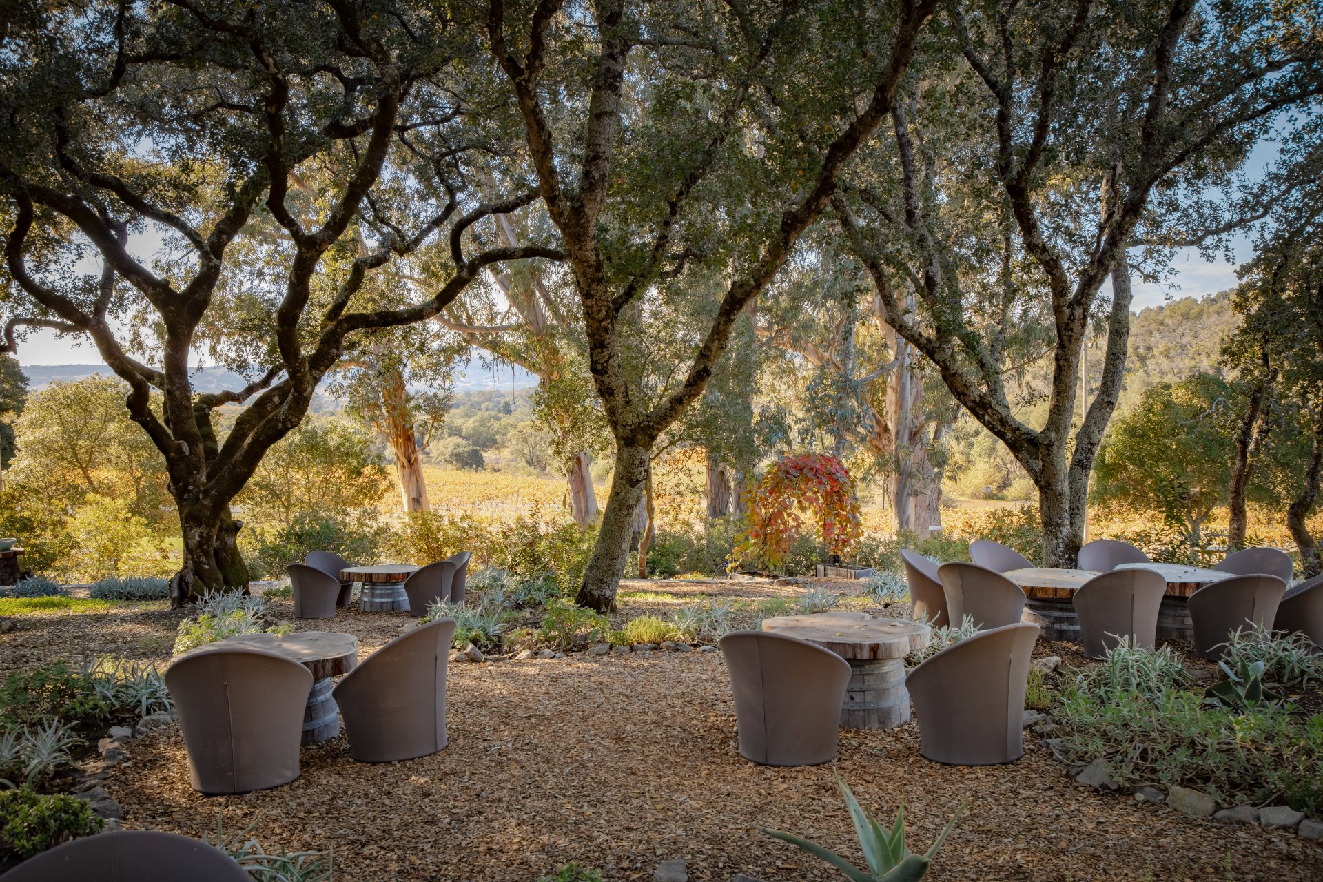 Bartholomew Estate Winery photo 6