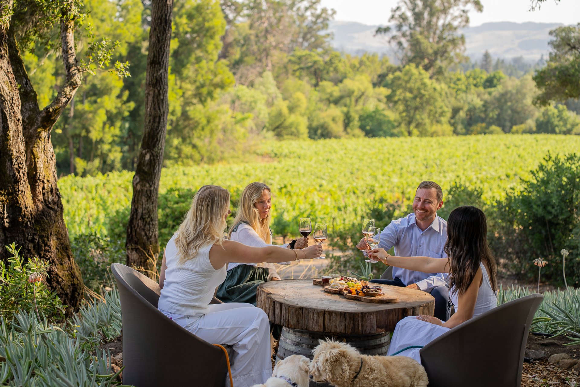 Bartholomew Estate Winery photo 7