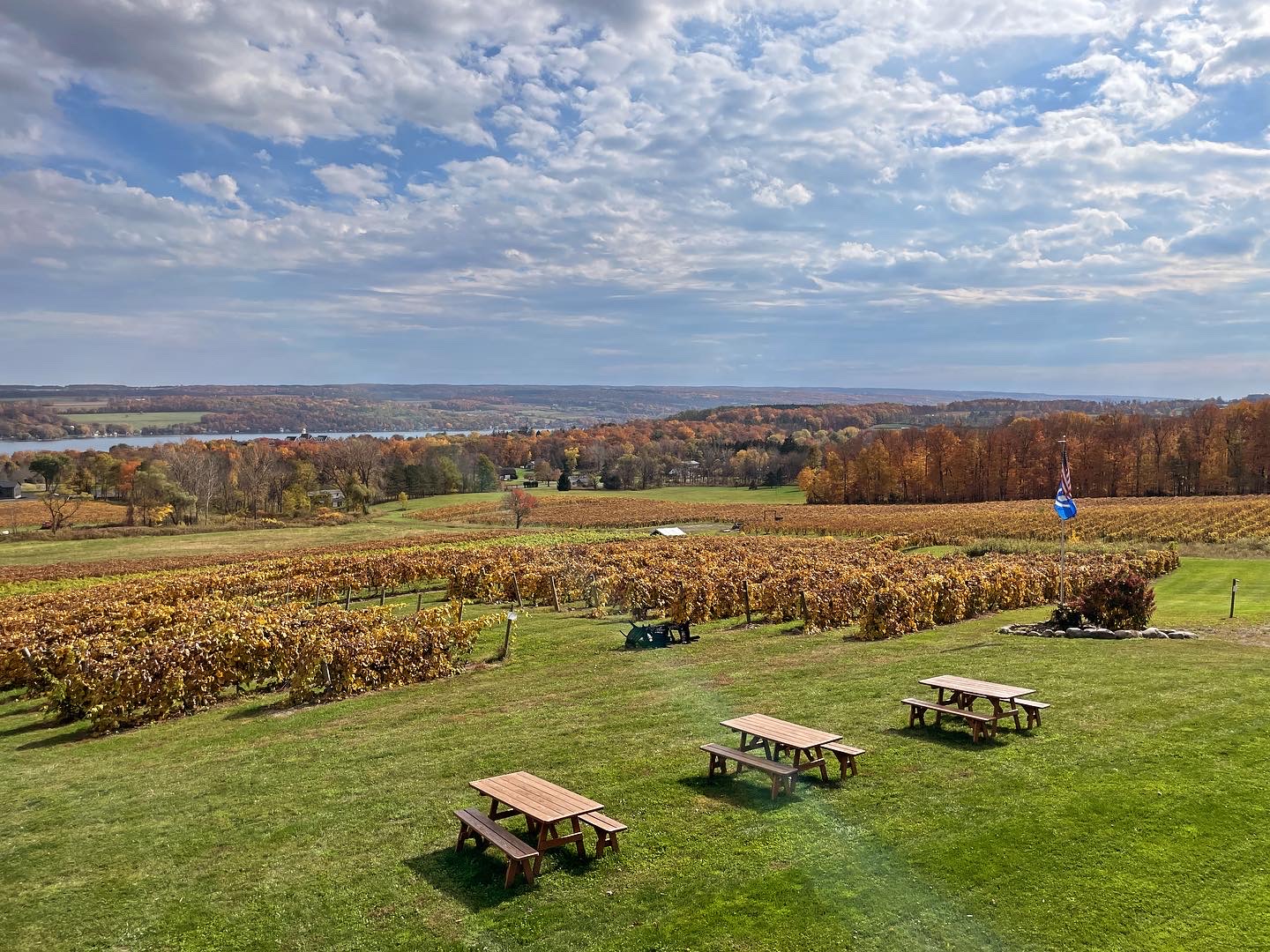 Vineyard View Winery photo 1