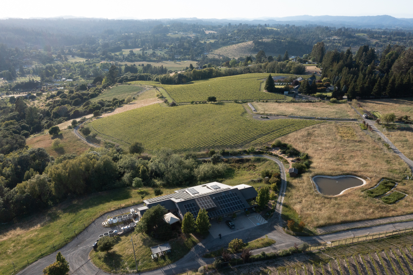 Littorai Wines photo 1