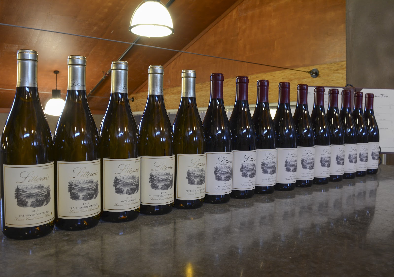 Littorai Wines photo 4
