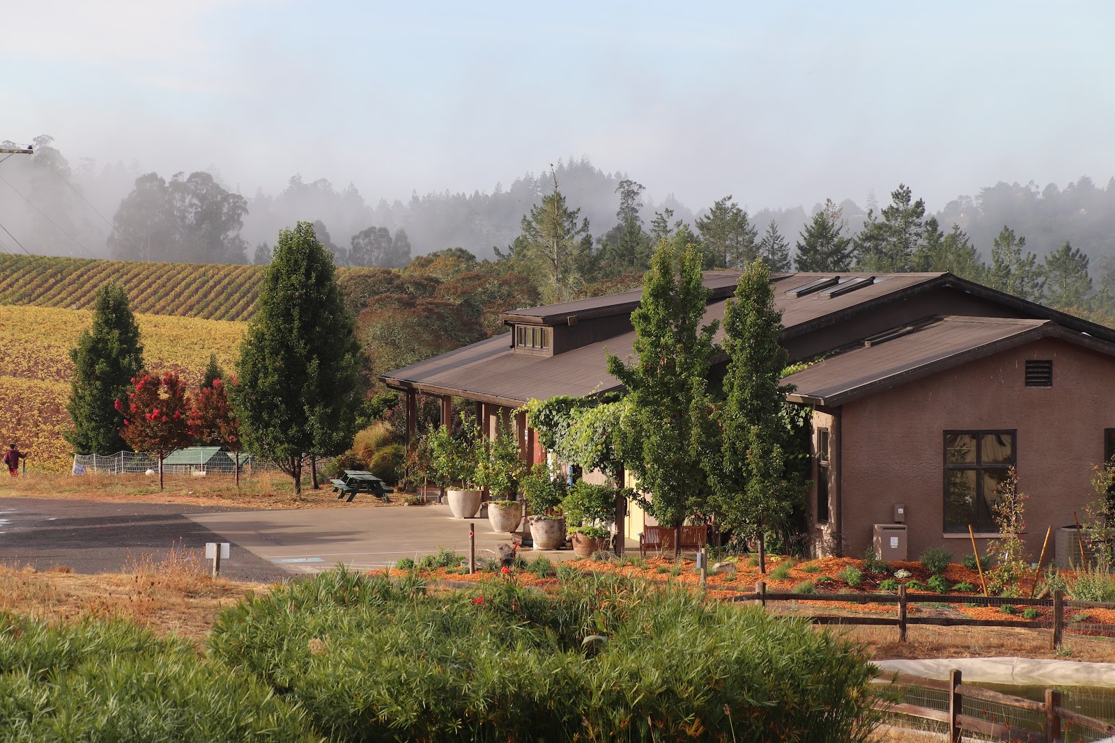 Littorai Wines photo 6