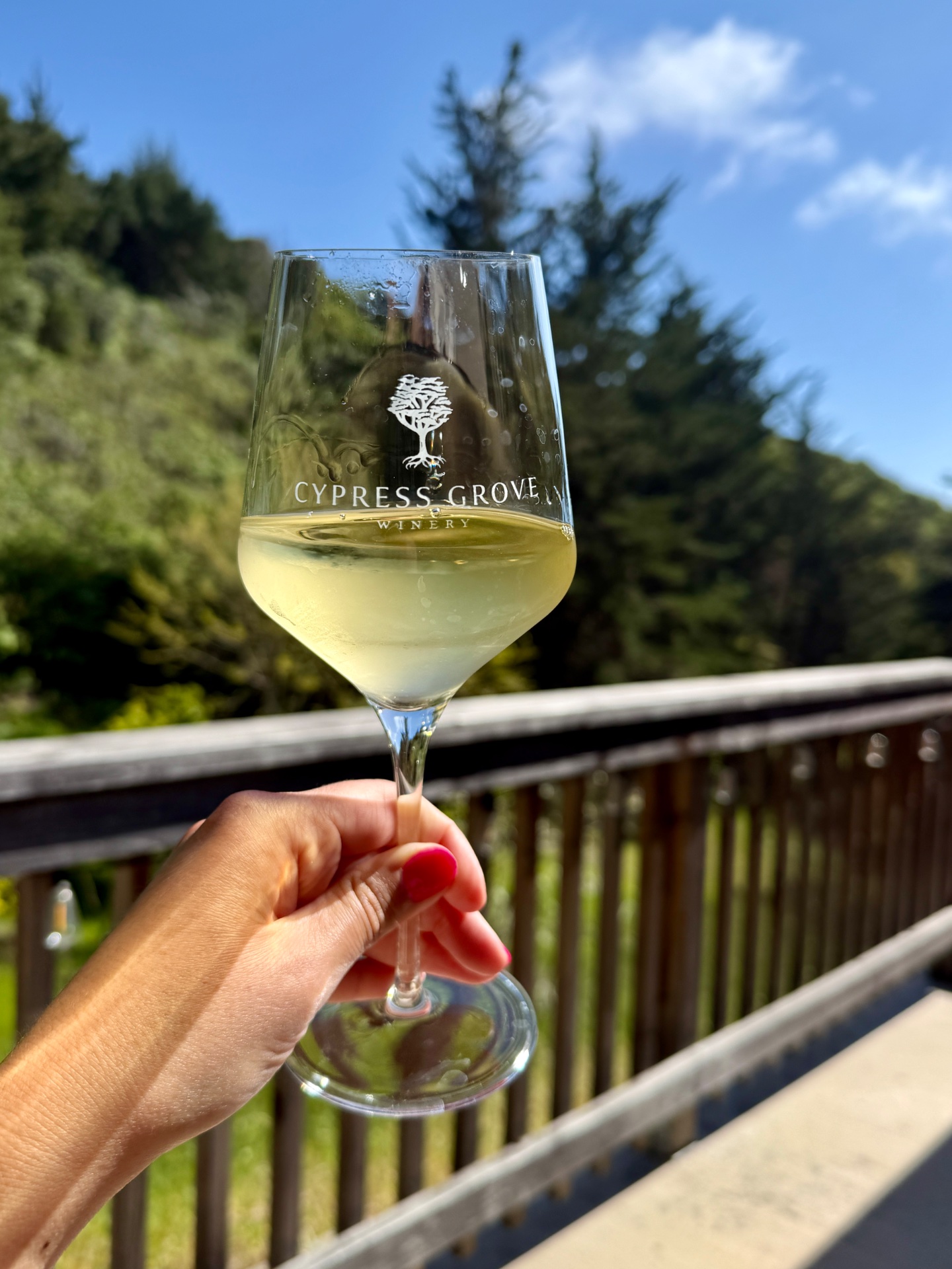 Cypress Grove Winery photo 7