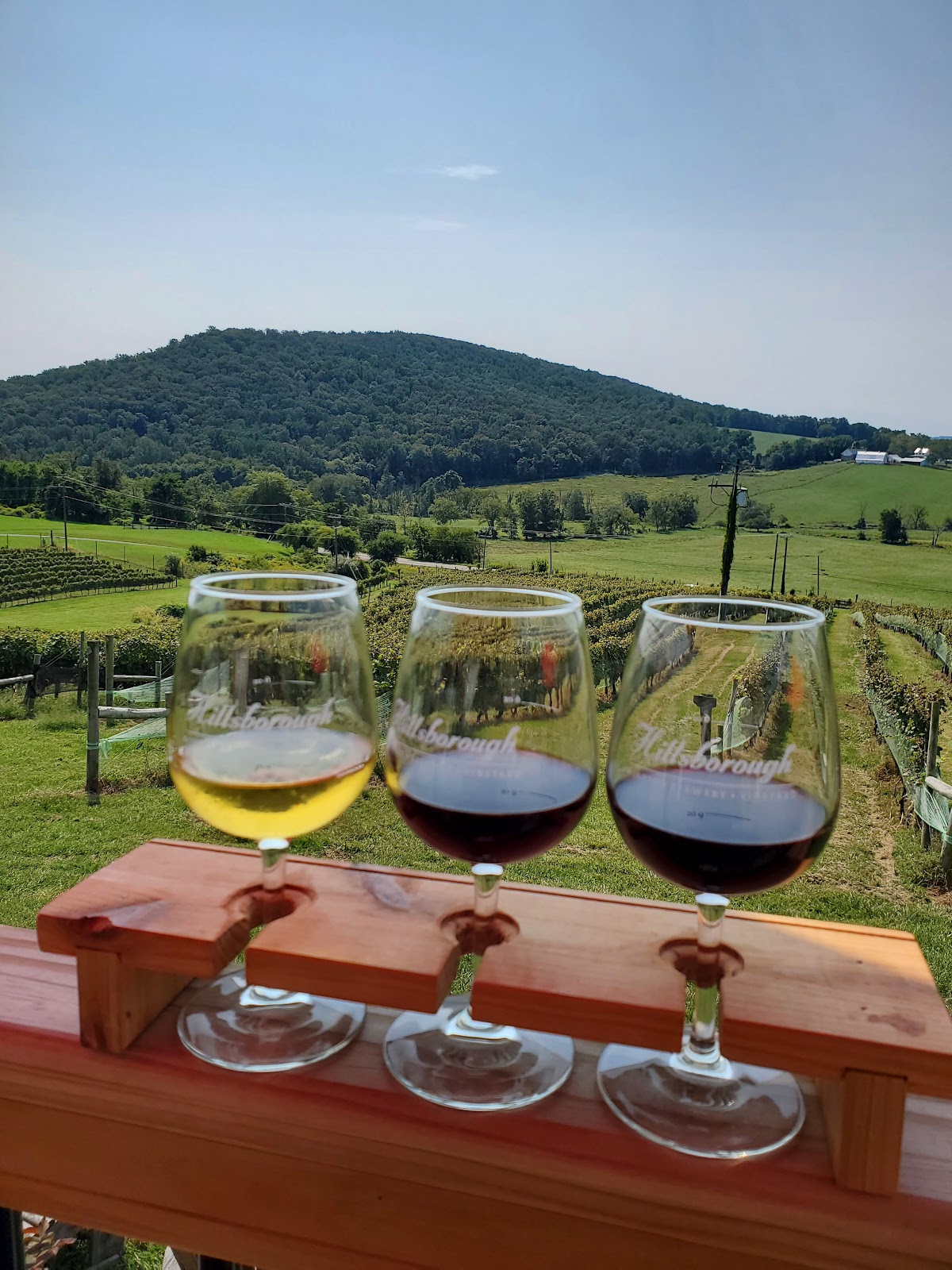 Hillsboro Winery photo 6