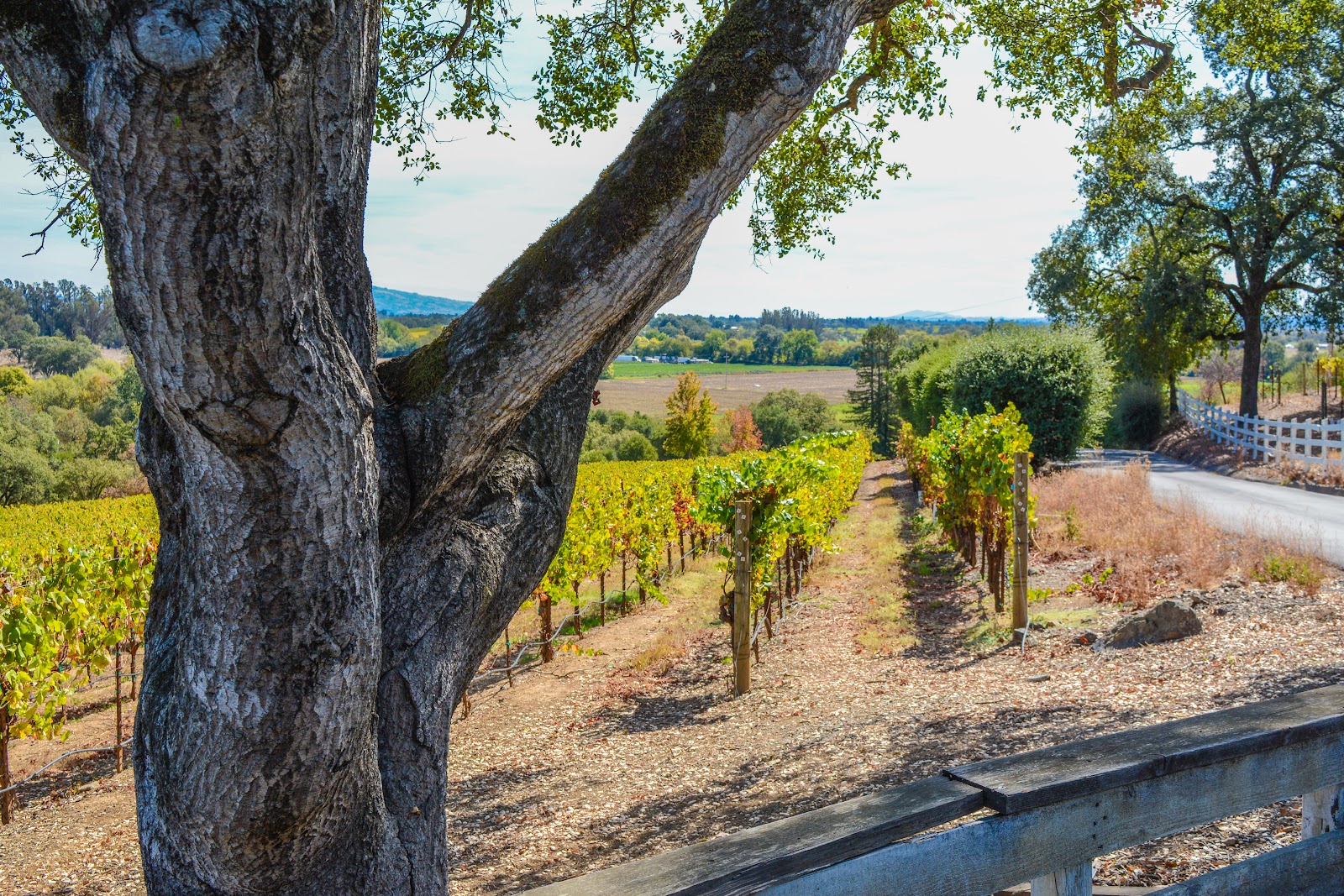 Woodenhead Vintners photo 1