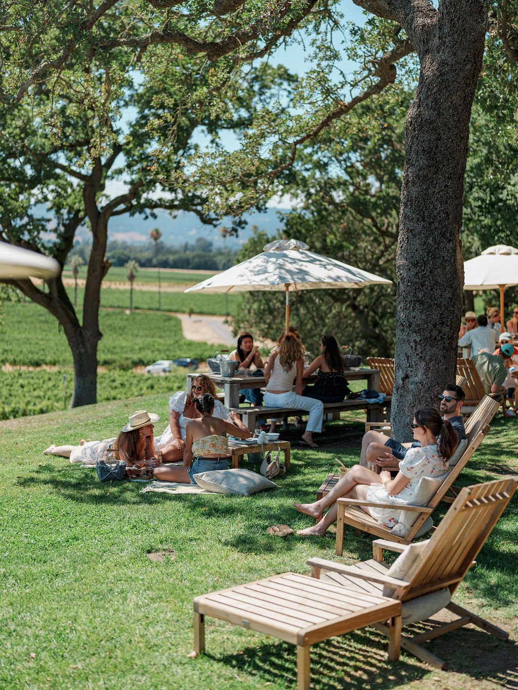 Scribe Winery photo 4