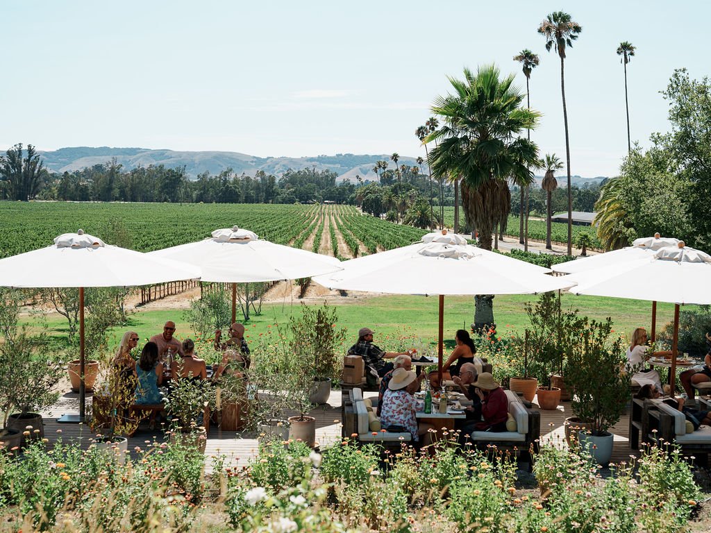 Scribe Winery photo 5