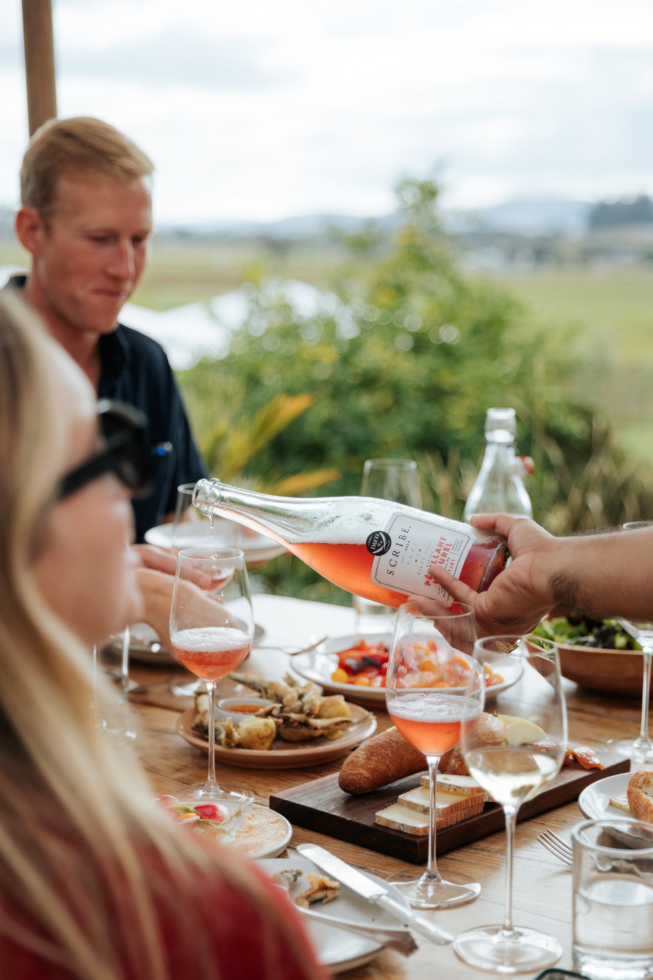 Scribe Winery photo 11