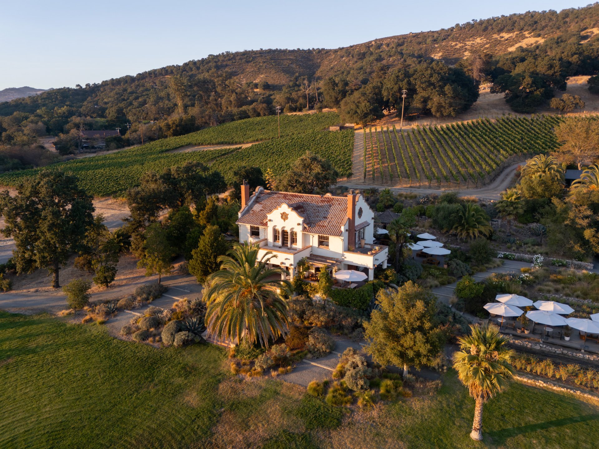 Scribe Winery photo 1