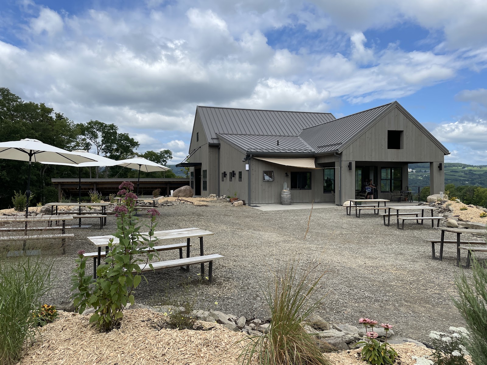Living Roots Wine & Co photo 4