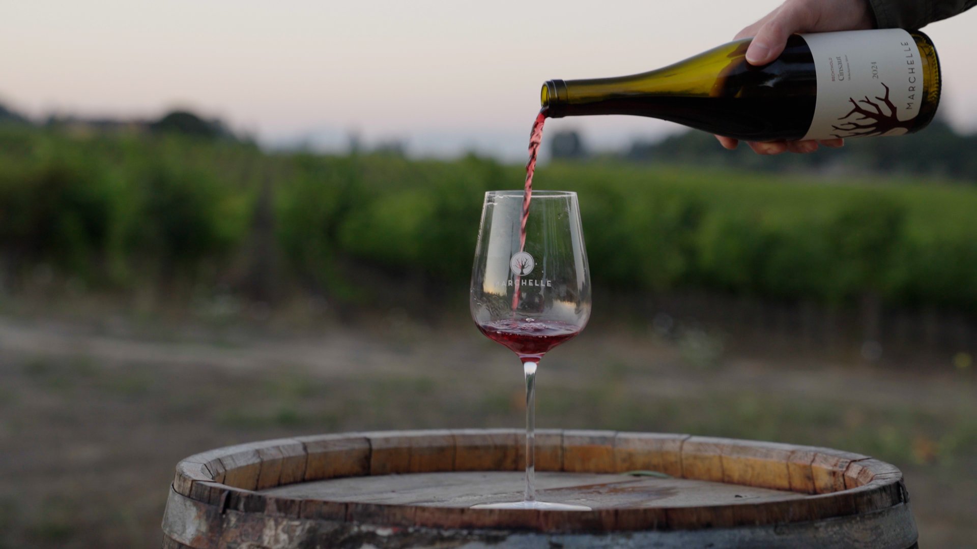 Marchelle Wines photo 4