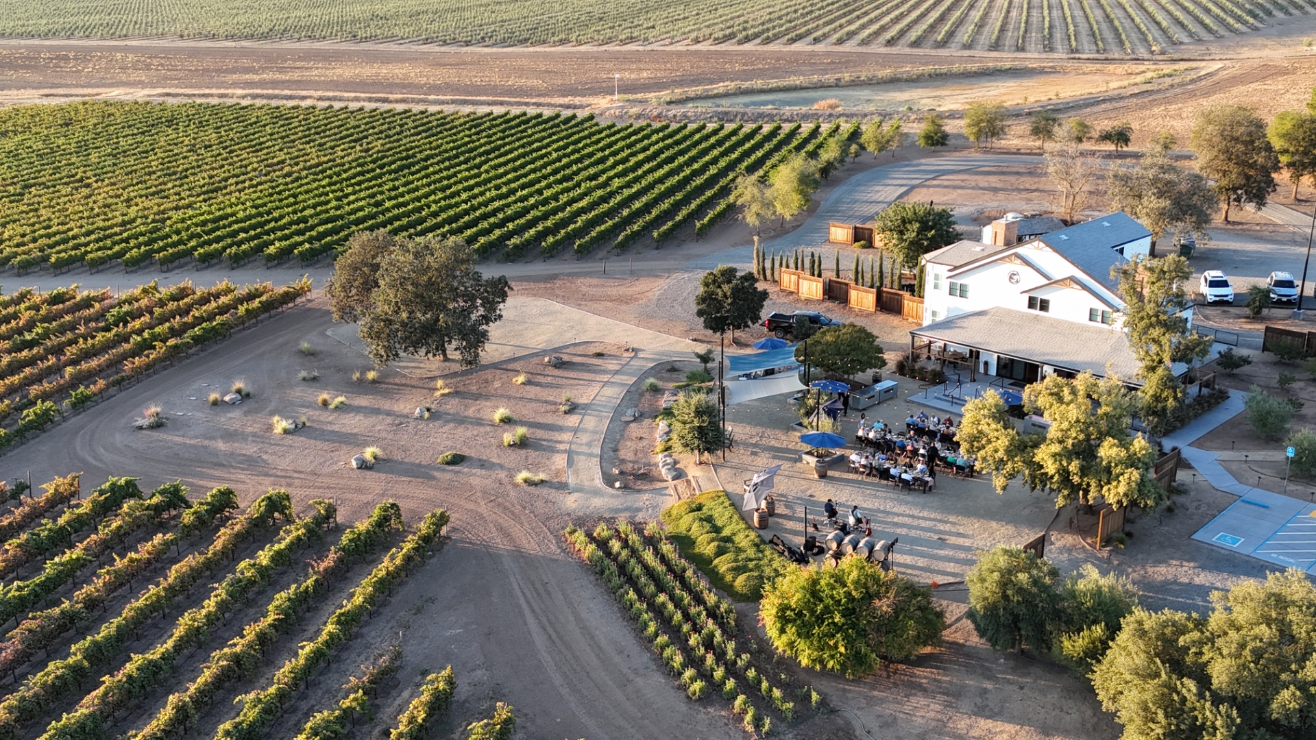 Grindstone Wines photo 4