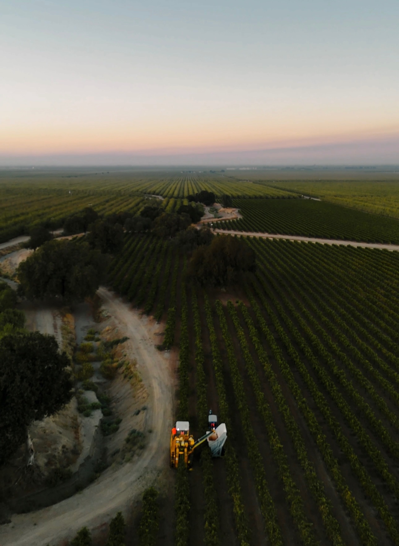 Grindstone Wines photo 5