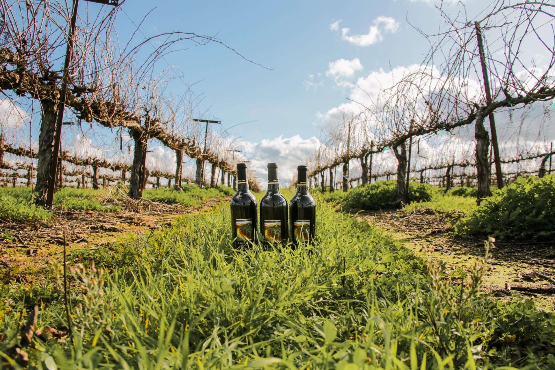 Grindstone Wines photo 8