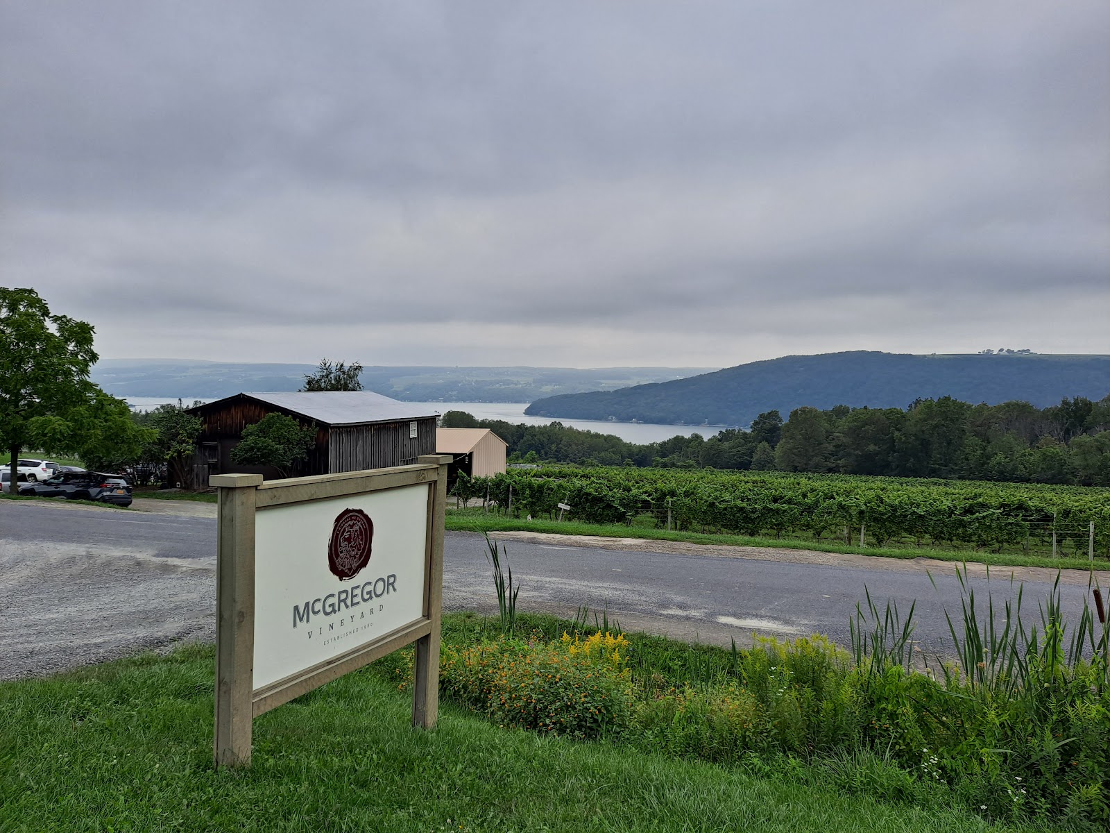 McGregor Vineyard photo 1
