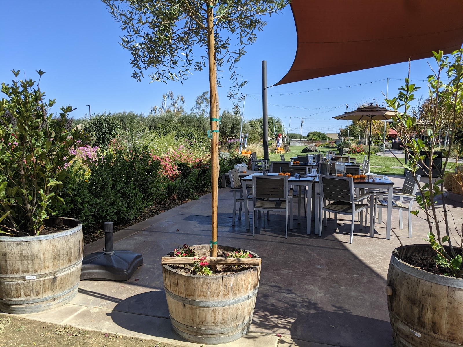 Michael David Winery photo 4