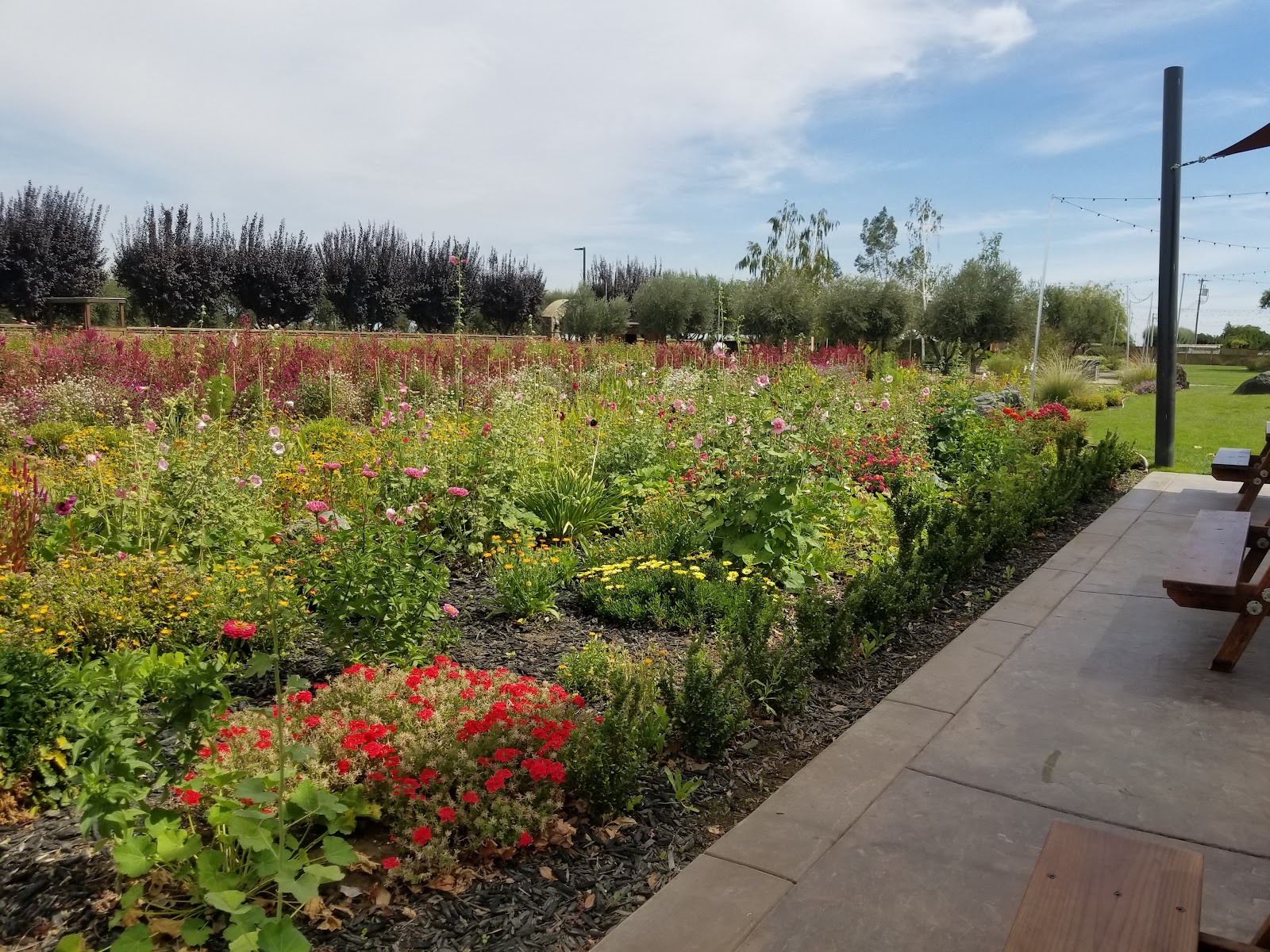 Michael David Winery photo 5