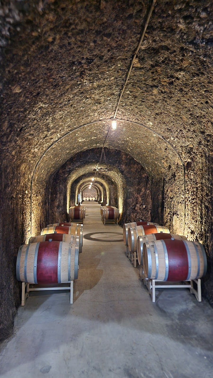 Antinori Napa Valley photo 6