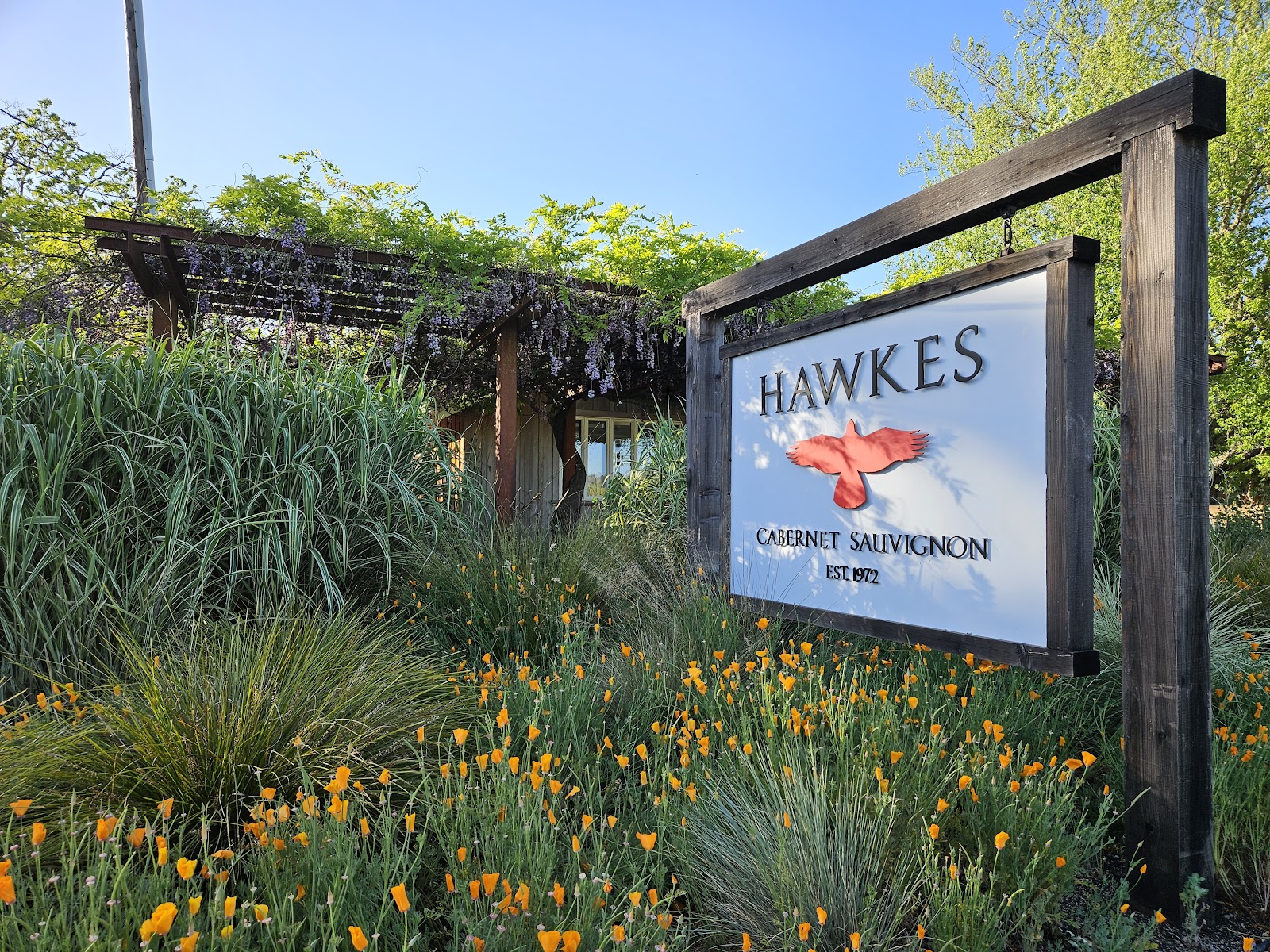 Hawkes Wine photo 1