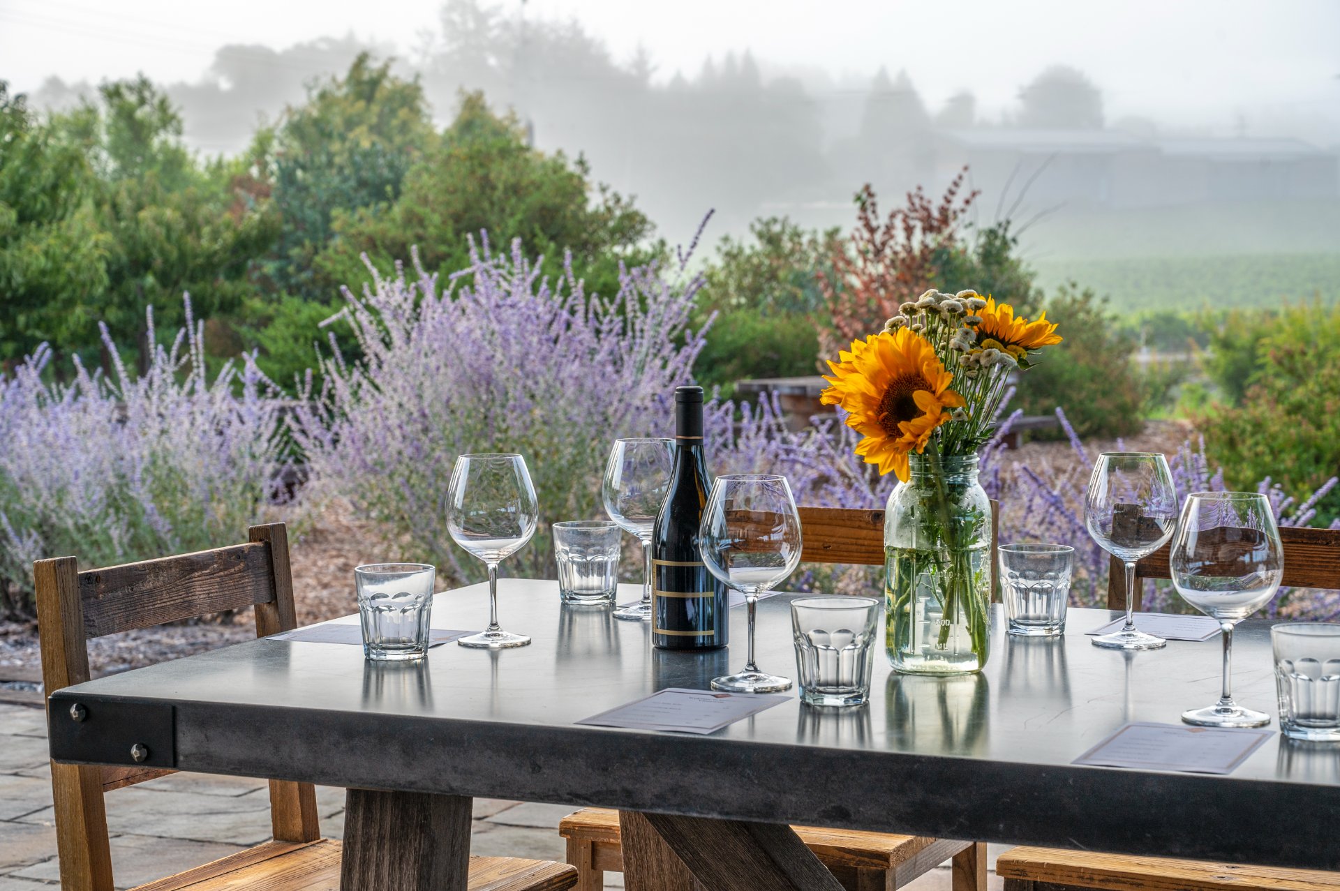 Emeritus Vineyards photo 1