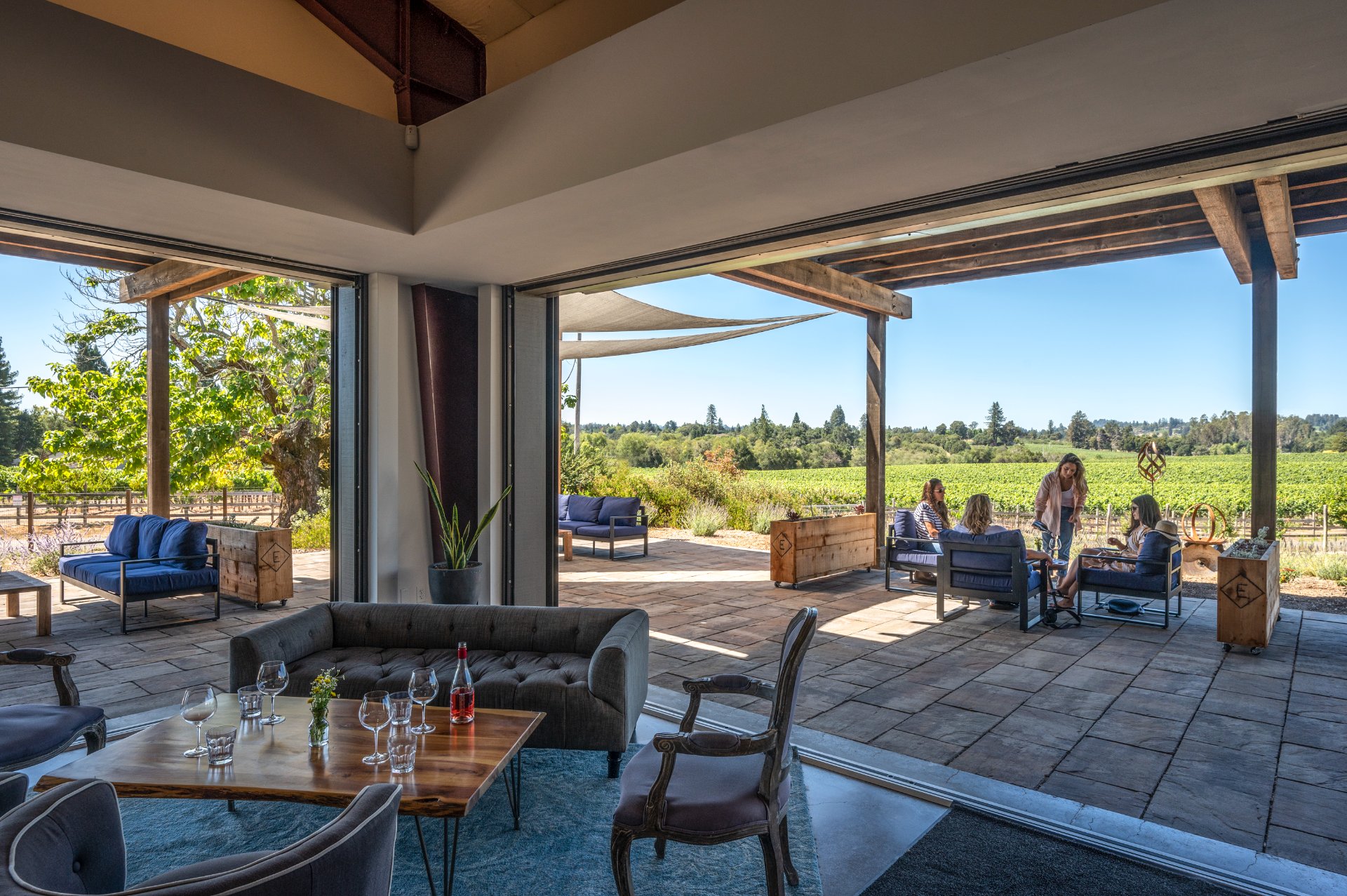Emeritus Vineyards photo 4