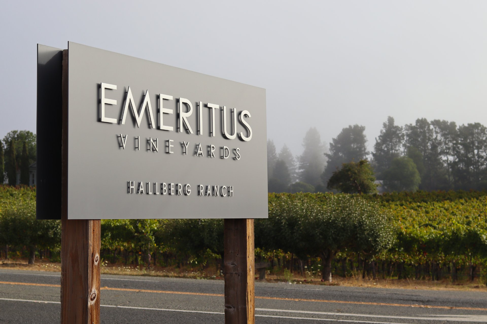Emeritus Vineyards photo 5