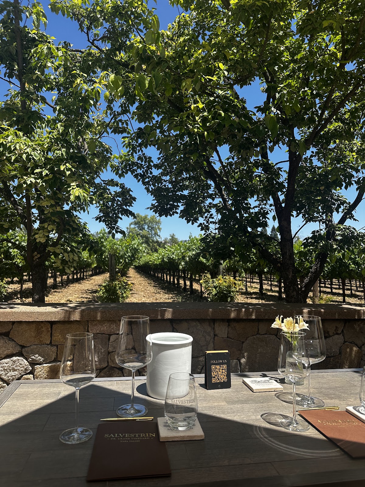 Salvestrin Winery photo 4