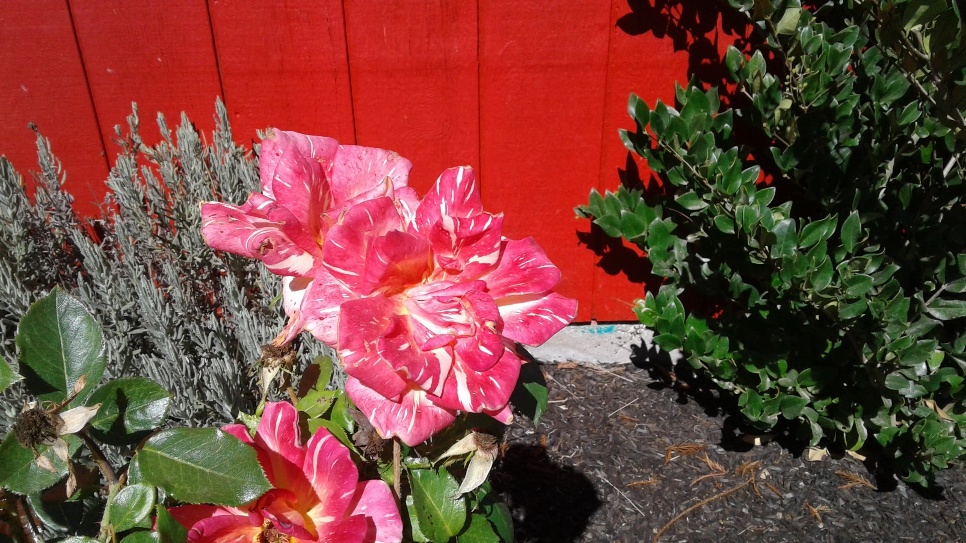 Char Vale Vineyards and Winery photo 8