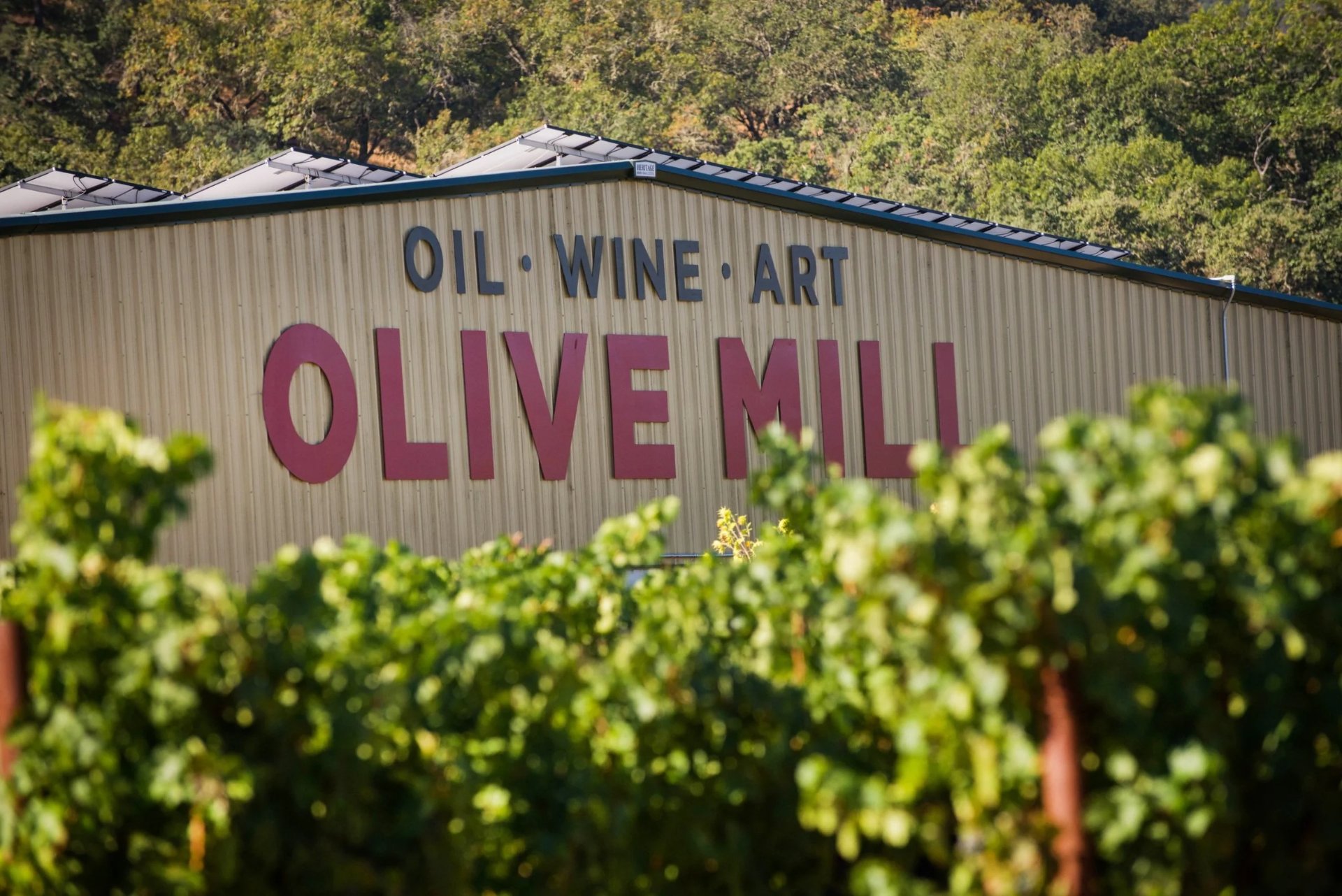 Terra Sávia Organic Winery & Olive Mill photo 1