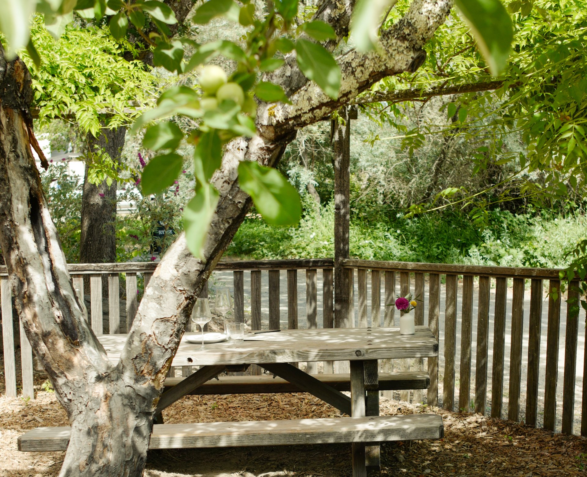 Ryme Cellars Tasting Room photo 6