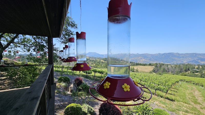 Paloma Vineyard photo 4