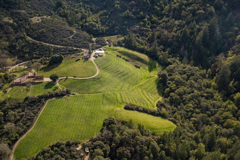 Alta Orsa Winery photo 1