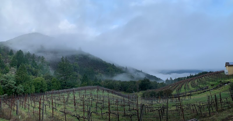 Alta Orsa Winery photo 5
