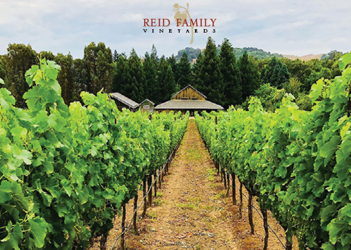 Reid Family Vineyards photo 1