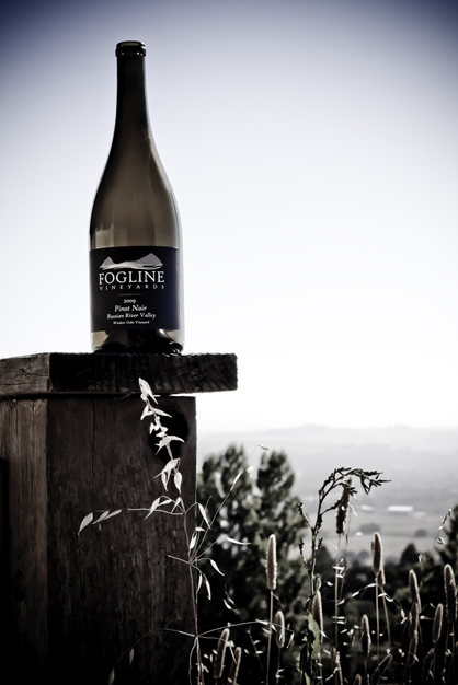 Fogline Vineyards photo 4
